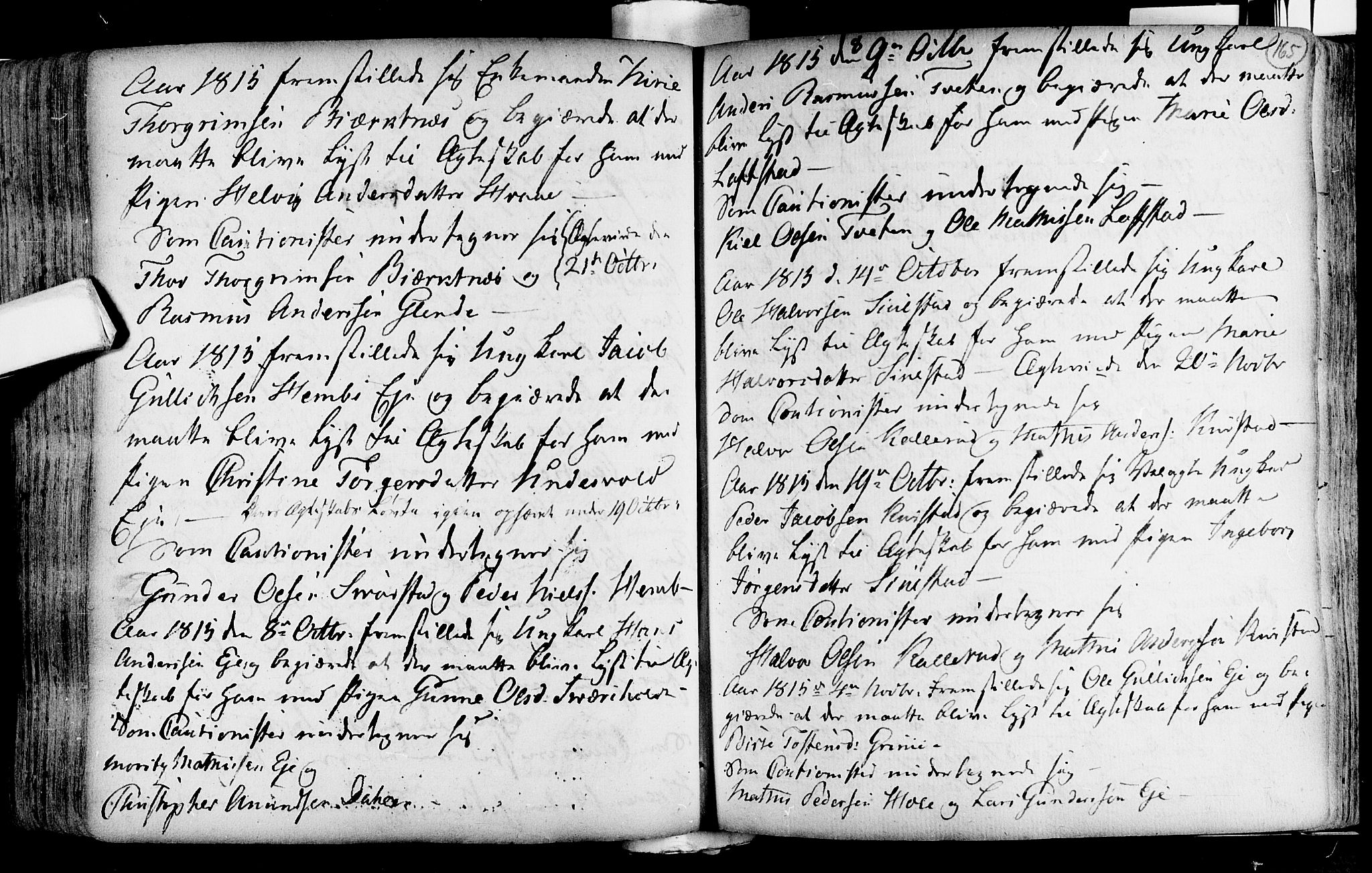 Lardal kirkebøker, SAKO/A-350/F/Fa/L0004: Ministerialbok nr. i 4, 1733-1815, s. 165
