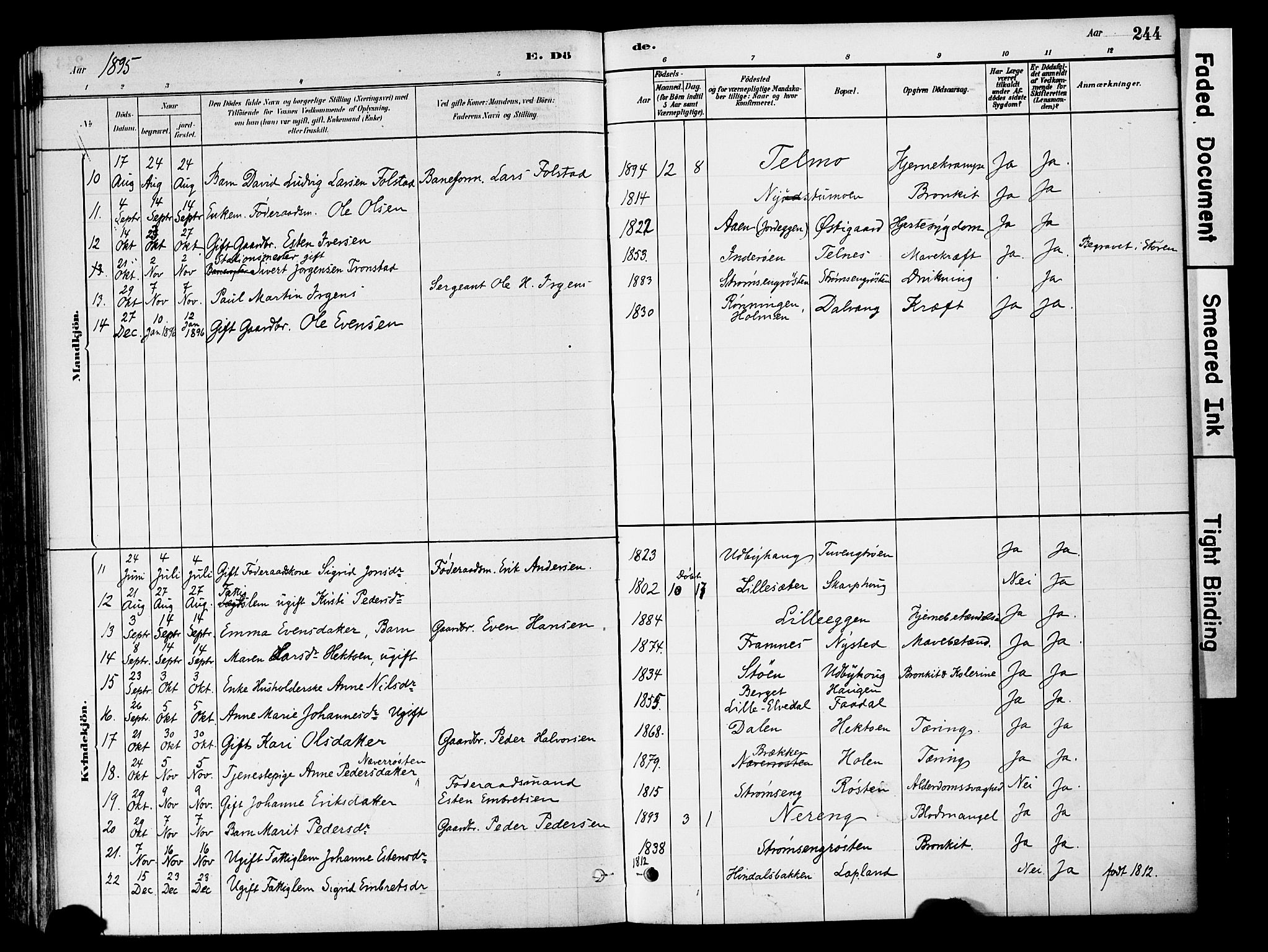 Tynset prestekontor, SAH/PREST-058/H/Ha/Haa/L0022: Ministerialbok nr. 22, 1880-1899, s. 244