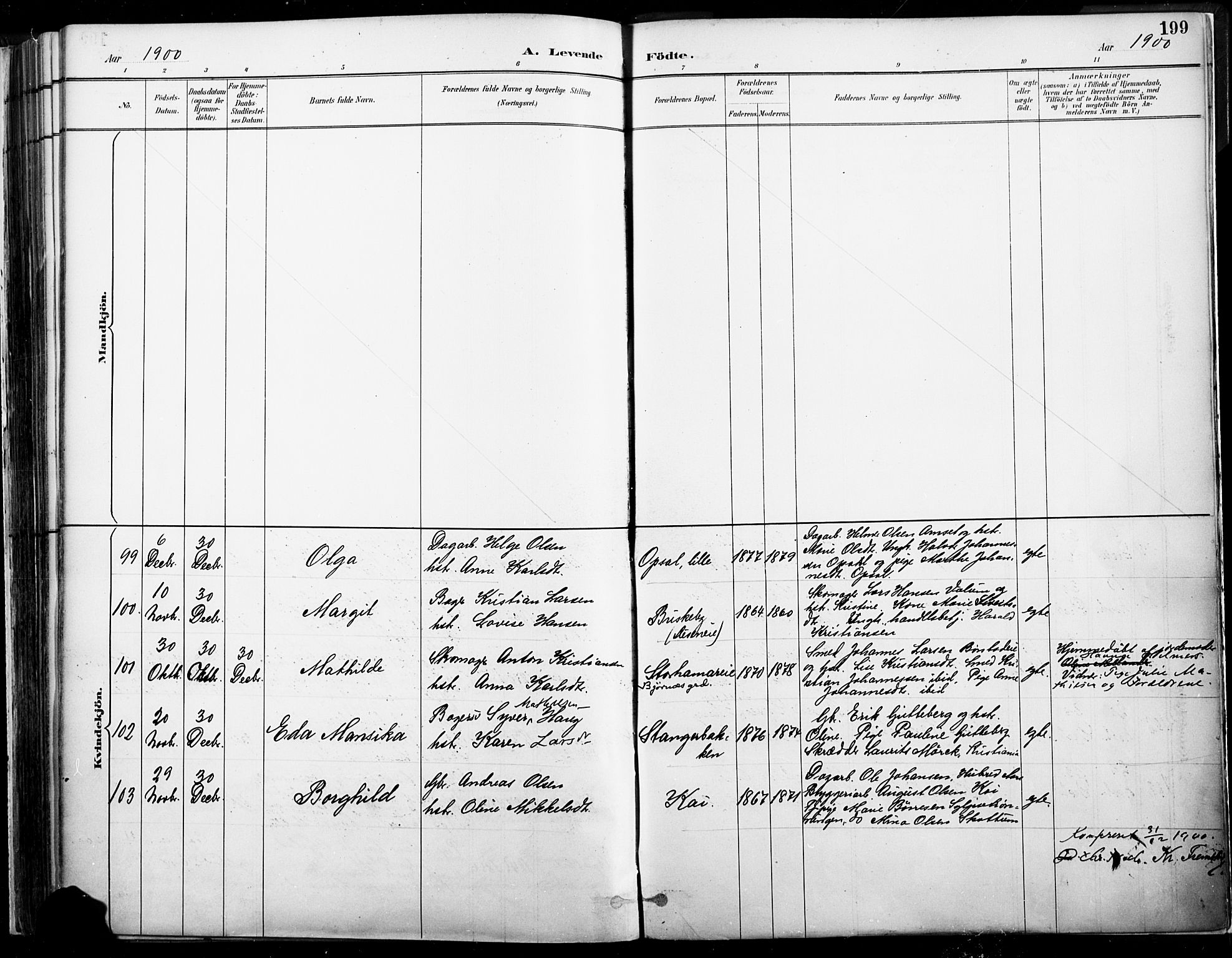 Vang prestekontor, Hedmark, SAH/PREST-008/H/Ha/Haa/L0019A: Ministerialbok nr. 19, 1886-1900, s. 199