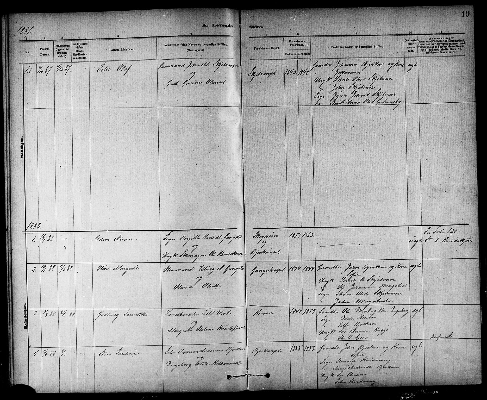 Ministerialprotokoller, klokkerbøker og fødselsregistre - Nord-Trøndelag, AV/SAT-A-1458/732/L0318: Klokkerbok nr. 732C02, 1881-1911, s. 19