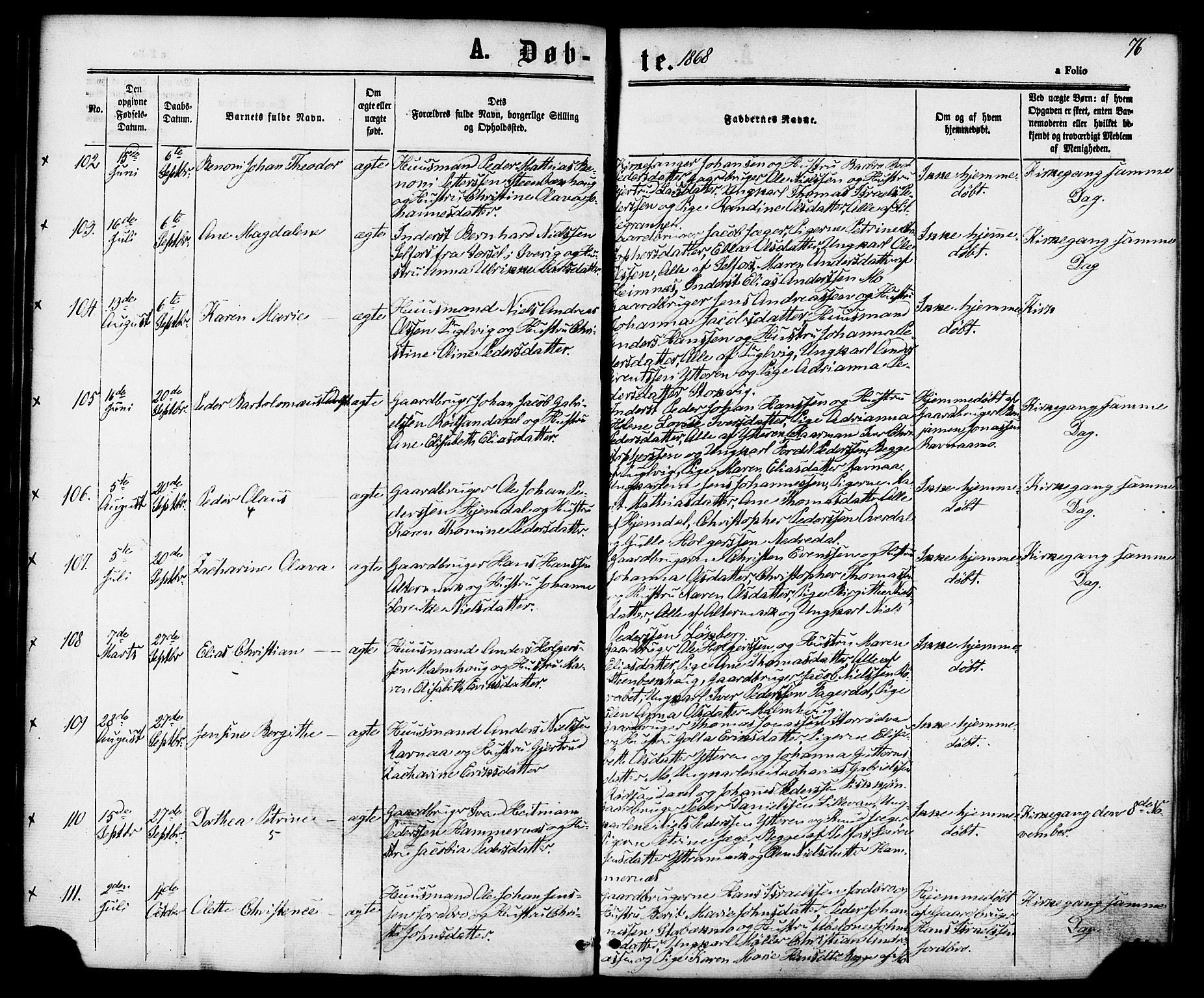 Ministerialprotokoller, klokkerbøker og fødselsregistre - Nordland, AV/SAT-A-1459/827/L0393: Ministerialbok nr. 827A05, 1863-1883, s. 76