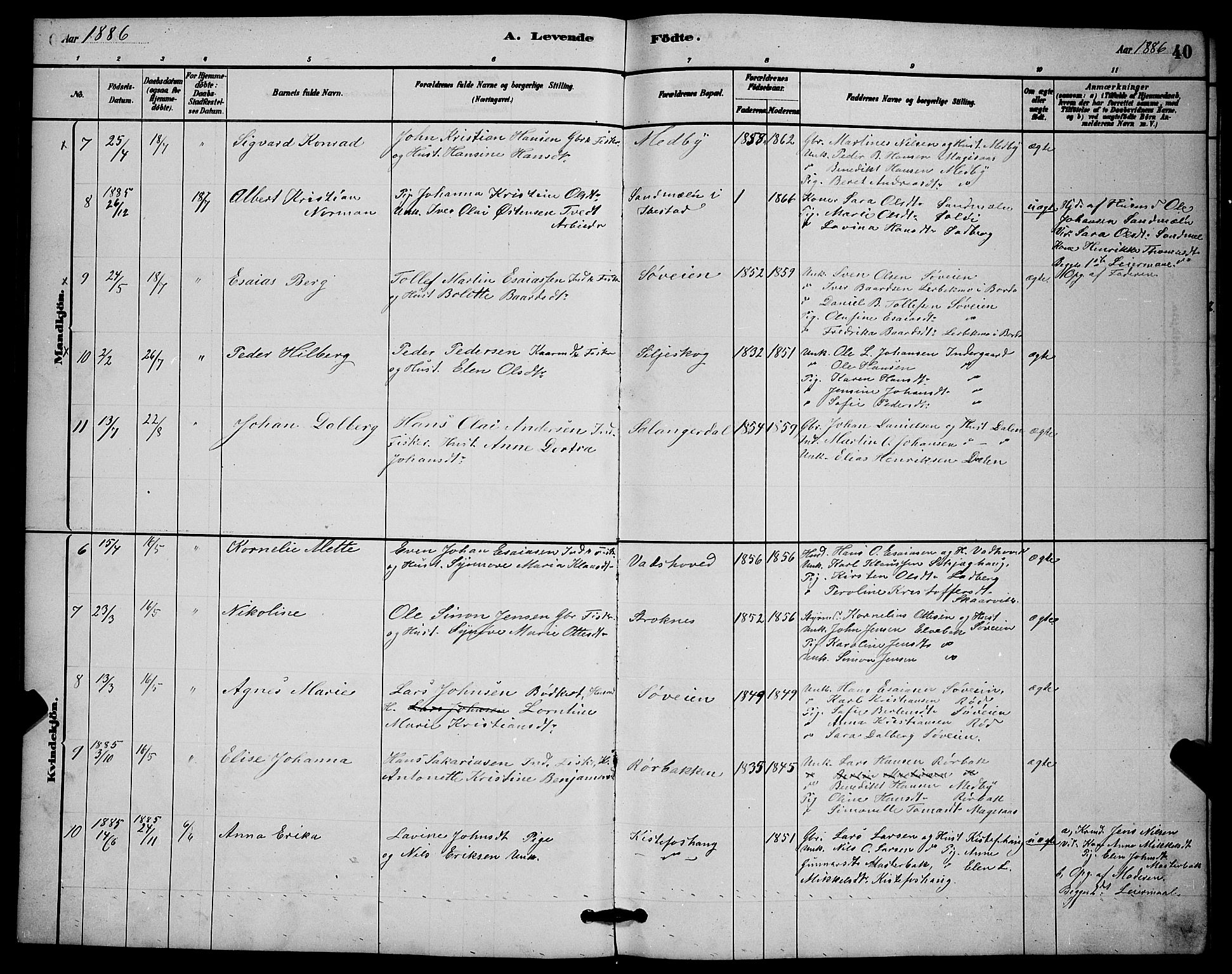 Ibestad sokneprestembete, AV/SATØ-S-0077/H/Ha/Hab/L0014klokker: Klokkerbok nr. 14, 1880-1887, s. 40