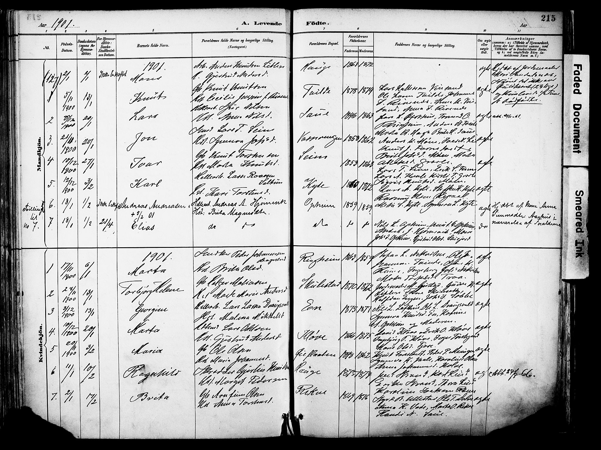 Voss sokneprestembete, AV/SAB-A-79001/H/Haa: Ministerialbok nr. A 21, 1887-1903, s. 215