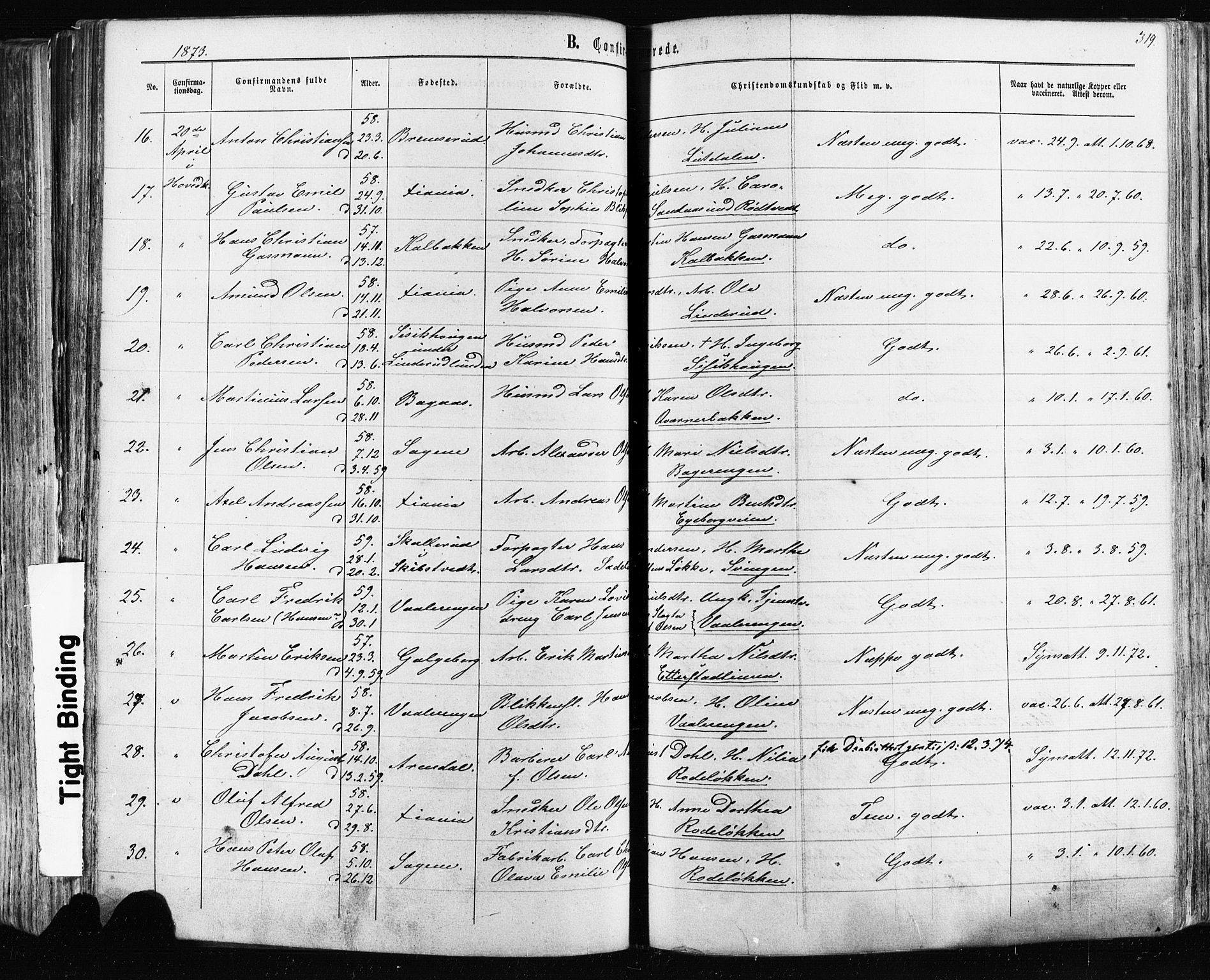 Østre Aker prestekontor Kirkebøker, AV/SAO-A-10840/F/Fa/L0003: Ministerialbok nr. I 3, 1869-1875, s. 319