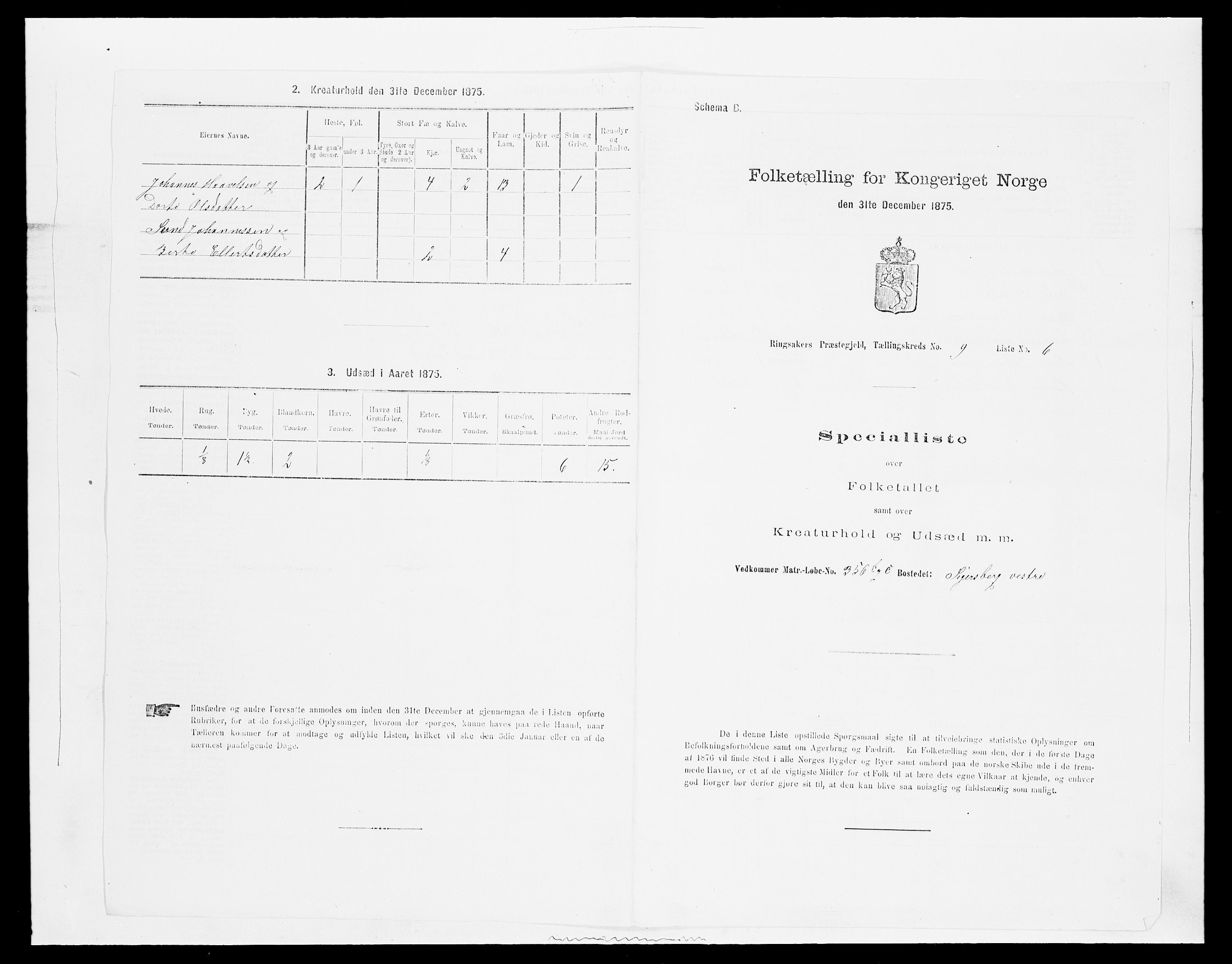 SAH, Folketelling 1875 for 0412P Ringsaker prestegjeld, 1875, s. 1803