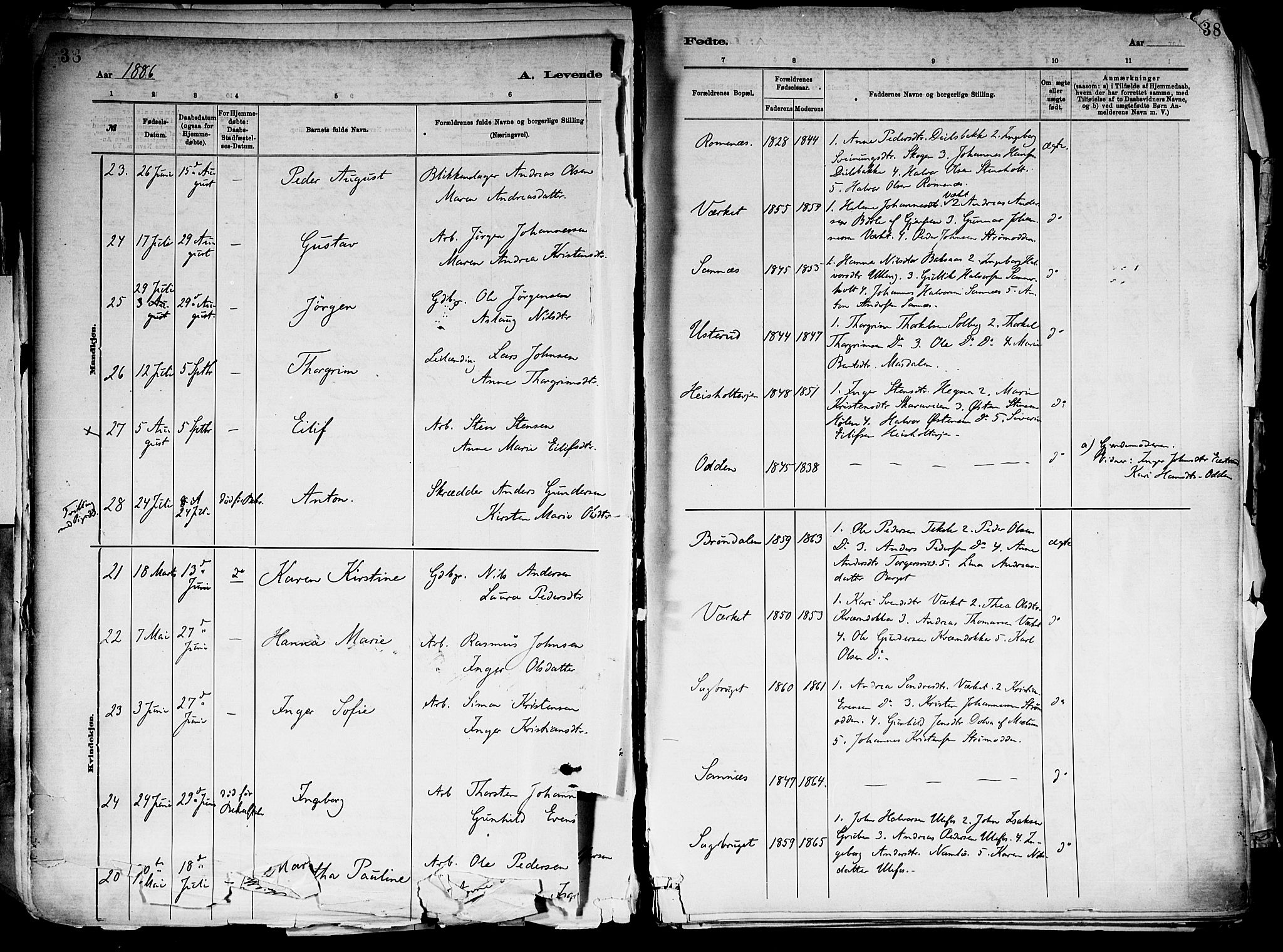 Holla kirkebøker, AV/SAKO-A-272/F/Fa/L0008: Ministerialbok nr. 8, 1882-1897, s. 38