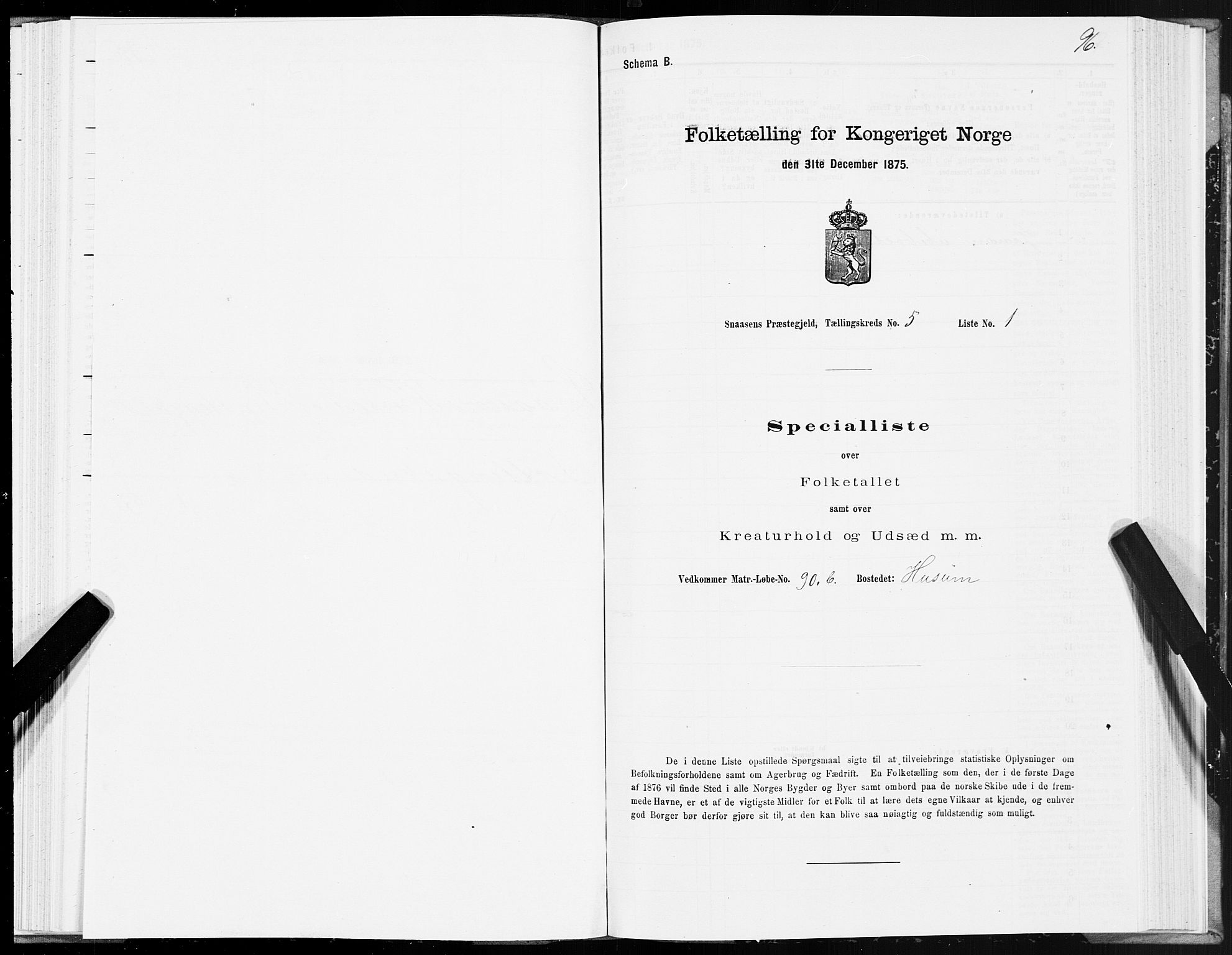 SAT, Folketelling 1875 for 1736P Snåsa prestegjeld, 1875, s. 2096