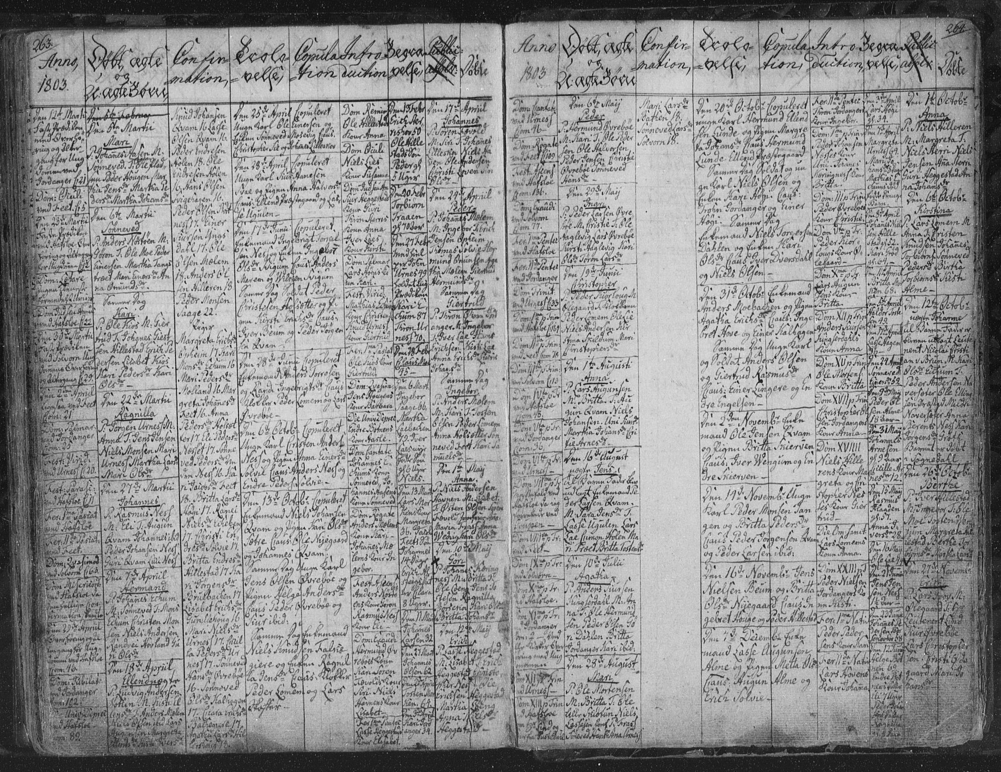 Hafslo sokneprestembete, AV/SAB-A-80301/H/Haa/Haaa/L0002: Ministerialbok nr. A 2, 1755-1806, s. 263-264