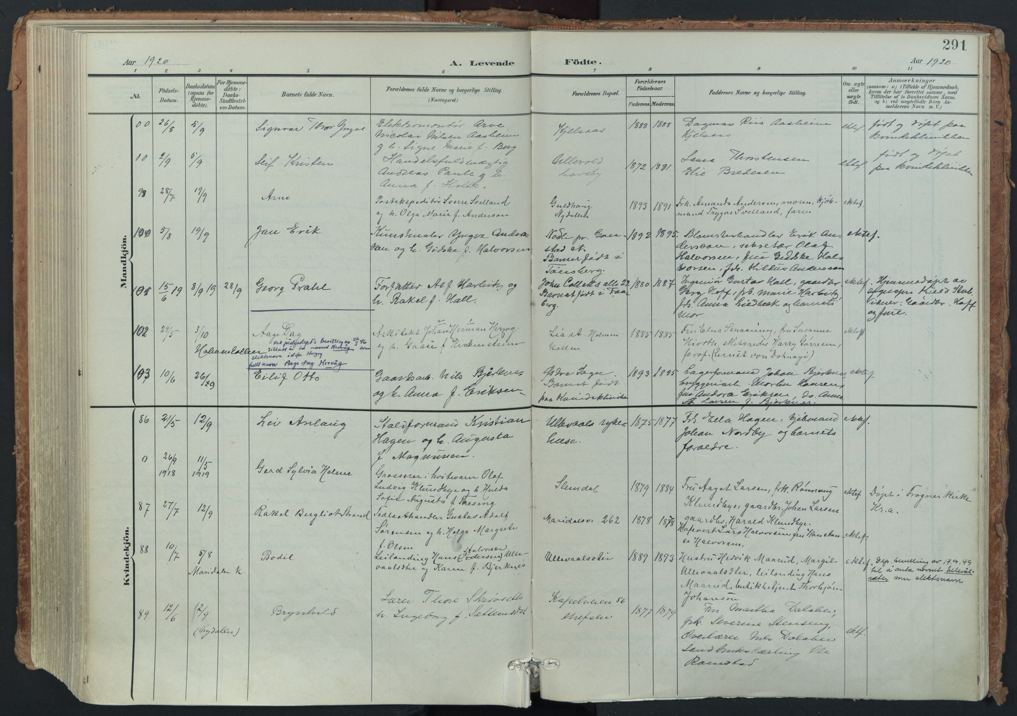 Vestre Aker prestekontor Kirkebøker, AV/SAO-A-10025/F/Fa/L0014: Ministerialbok nr. 14, 1903-1921, s. 291