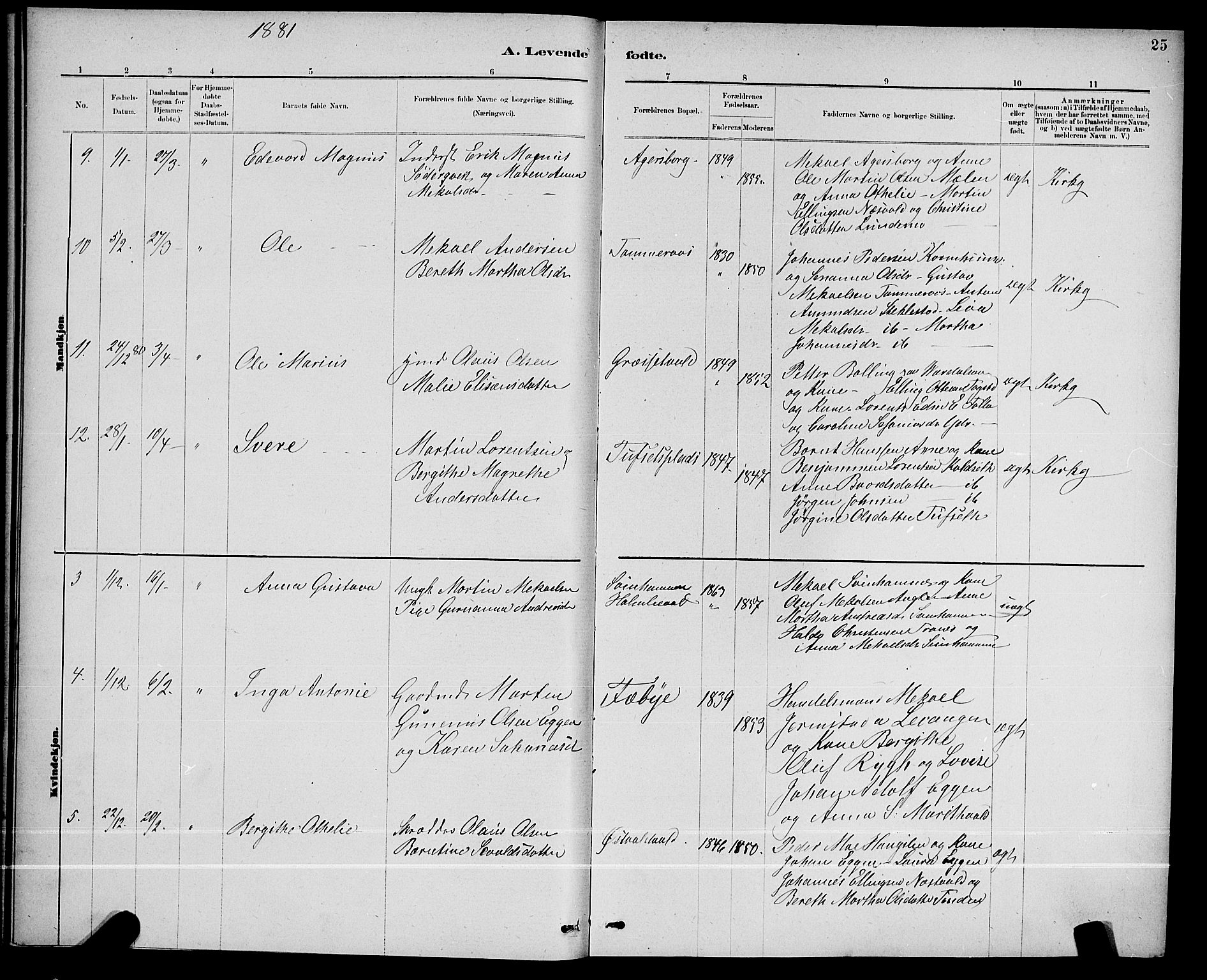 Ministerialprotokoller, klokkerbøker og fødselsregistre - Nord-Trøndelag, SAT/A-1458/723/L0256: Klokkerbok nr. 723C04, 1879-1890, s. 25