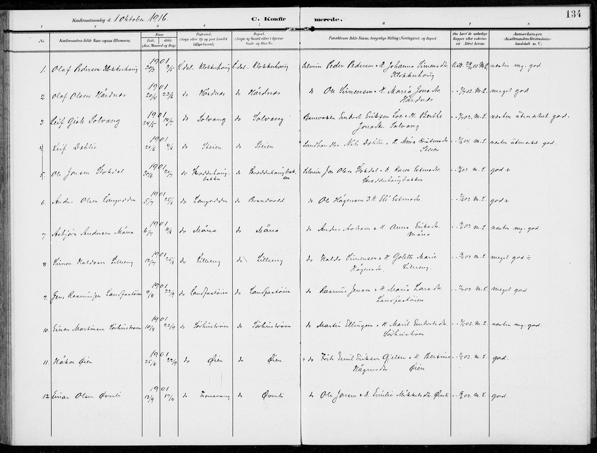 Alvdal prestekontor, AV/SAH-PREST-060/H/Ha/Haa/L0004: Ministerialbok nr. 4, 1907-1919, s. 134