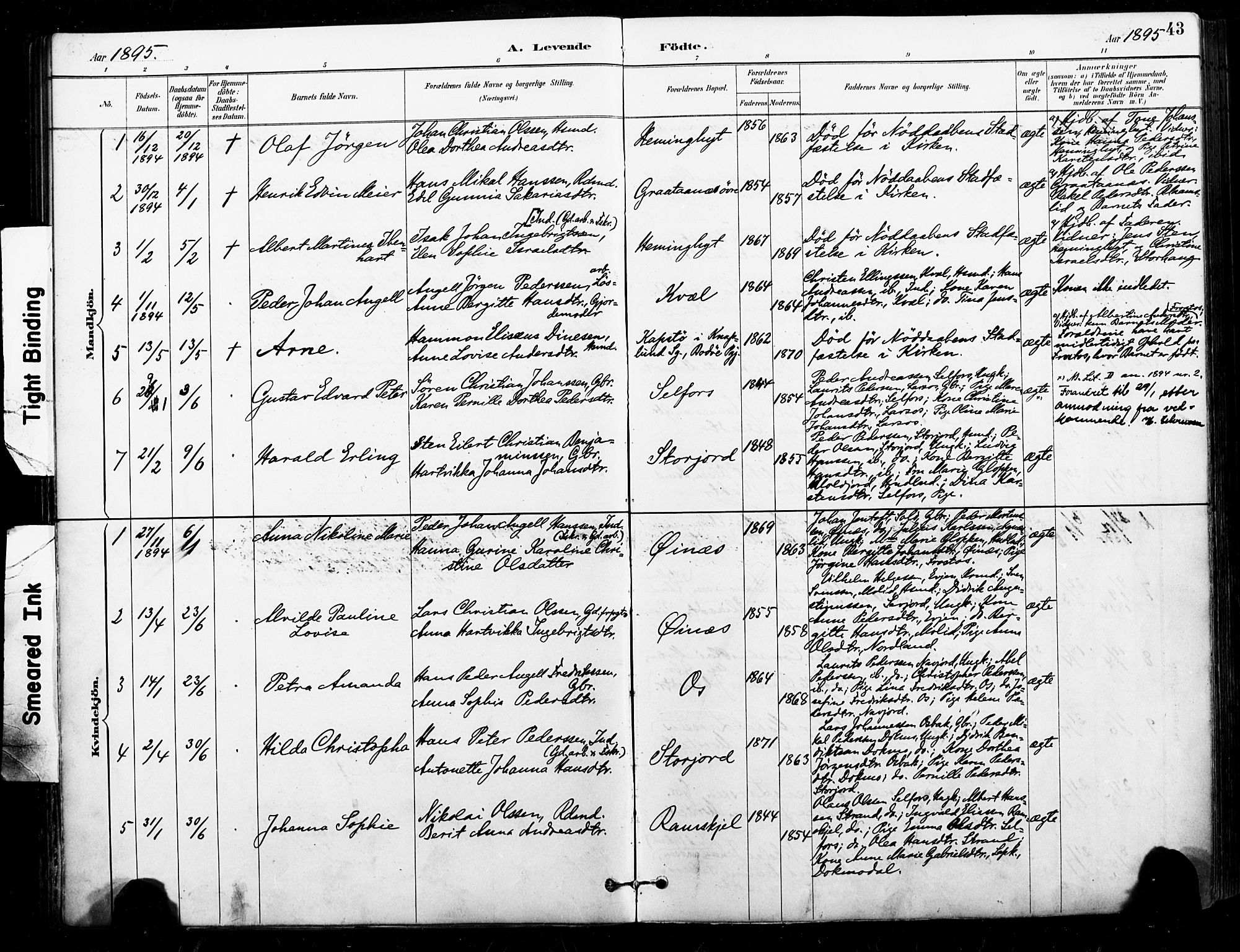 Ministerialprotokoller, klokkerbøker og fødselsregistre - Nordland, AV/SAT-A-1459/846/L0646: Ministerialbok nr. 846A04, 1887-1901, s. 43