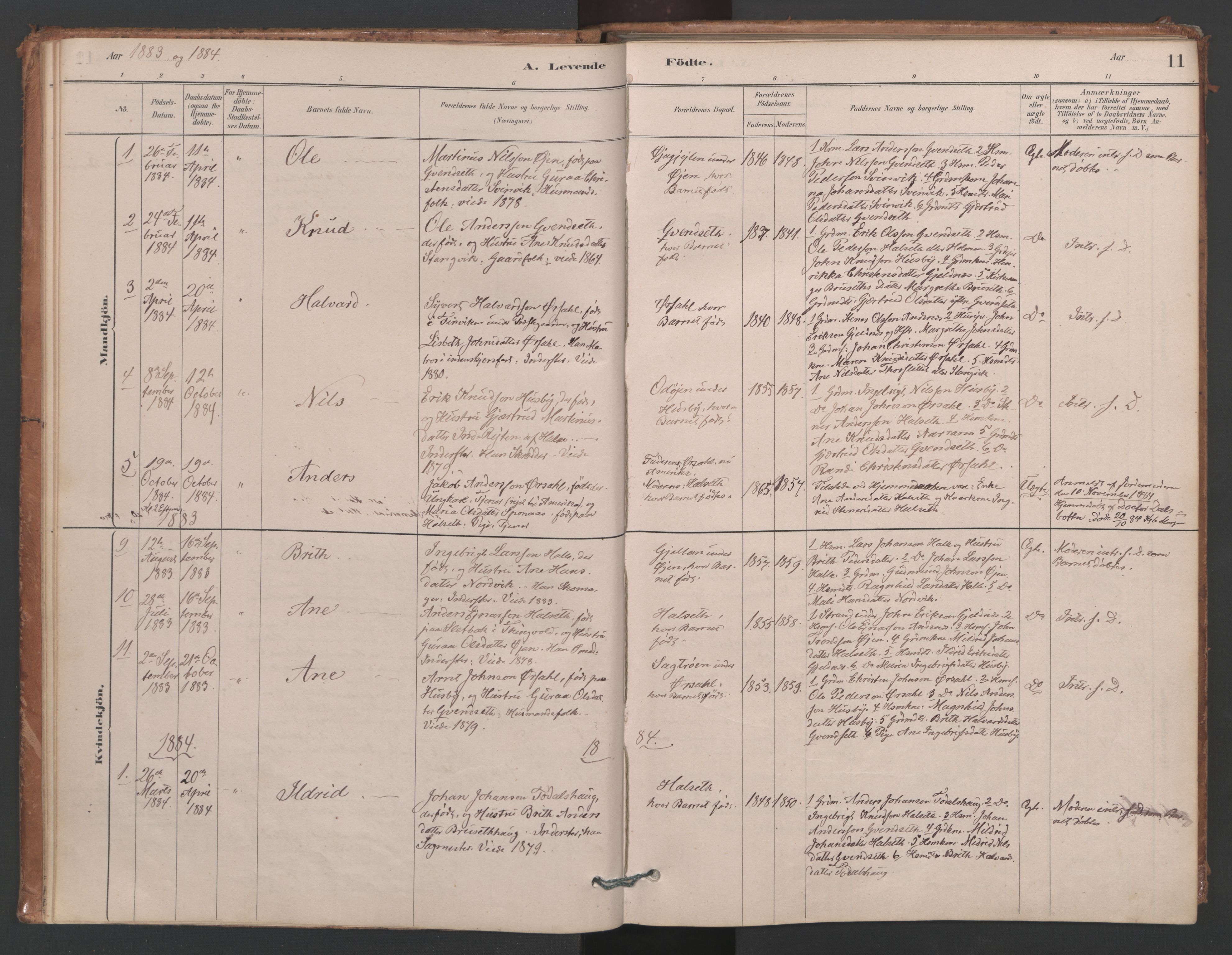 Ministerialprotokoller, klokkerbøker og fødselsregistre - Møre og Romsdal, AV/SAT-A-1454/593/L1034: Ministerialbok nr. 593A01, 1879-1911, s. 11