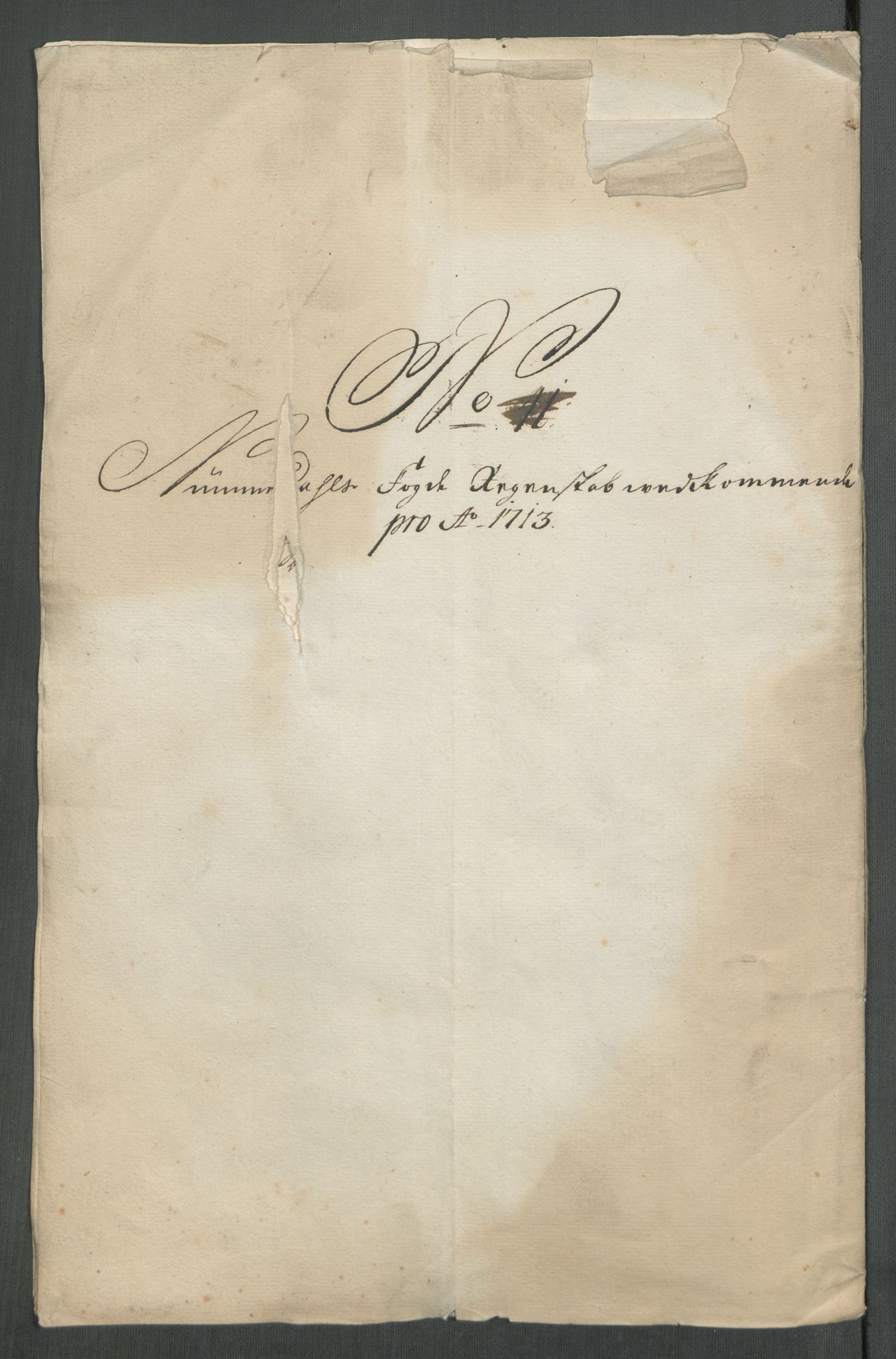 Rentekammeret inntil 1814, Reviderte regnskaper, Fogderegnskap, RA/EA-4092/R64/L4434: Fogderegnskap Namdal, 1713, s. 271