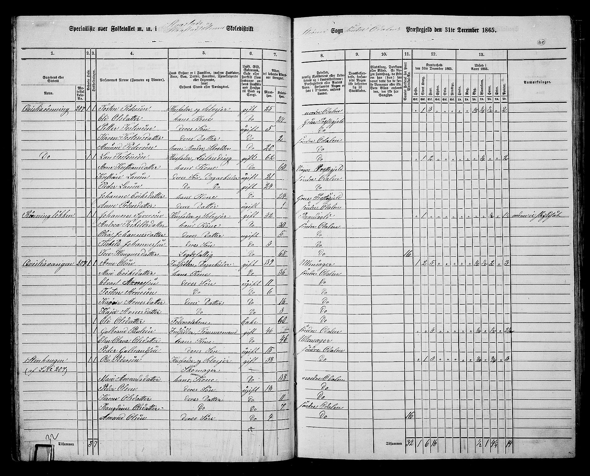 RA, Folketelling 1865 for 0419P Sør-Odal prestegjeld, 1865, s. 98