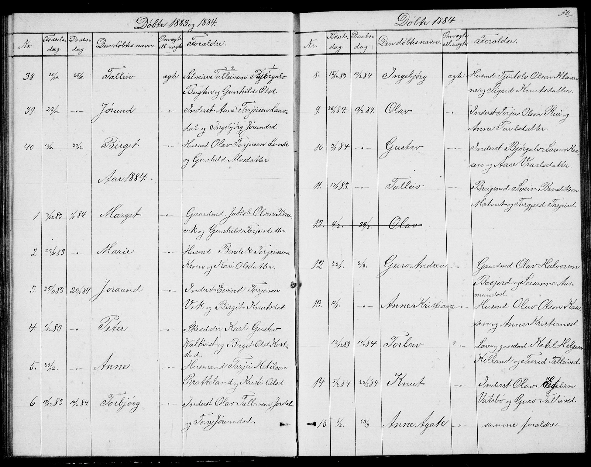 Fyresdal kirkebøker, AV/SAKO-A-263/G/Ga/L0004: Klokkerbok nr. I 4, 1864-1892, s. 50