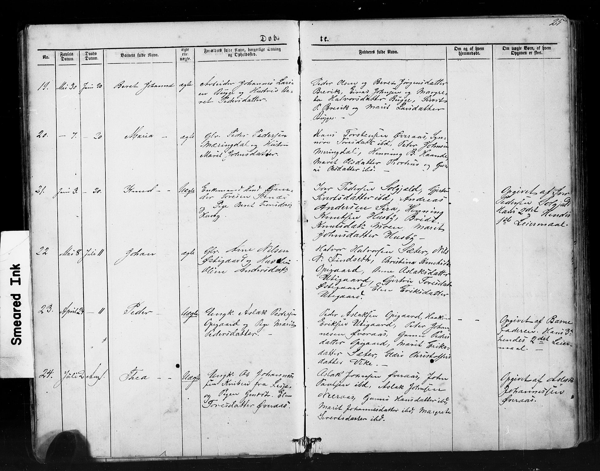 Ministerialprotokoller, klokkerbøker og fødselsregistre - Møre og Romsdal, AV/SAT-A-1454/552/L0638: Klokkerbok nr. 552C01, 1867-1902, s. 25