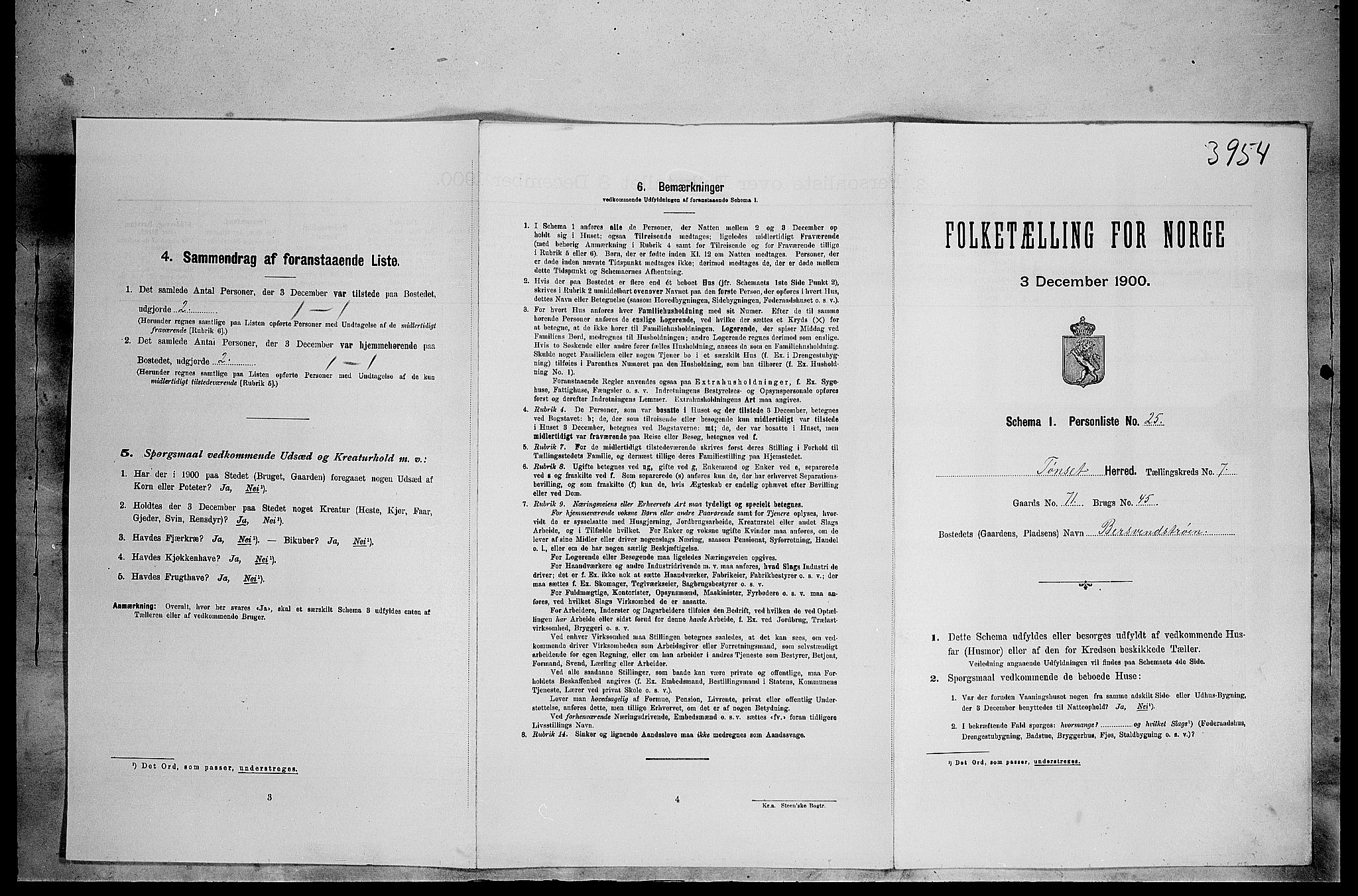 SAH, Folketelling 1900 for 0437 Tynset herred, 1900, s. 665