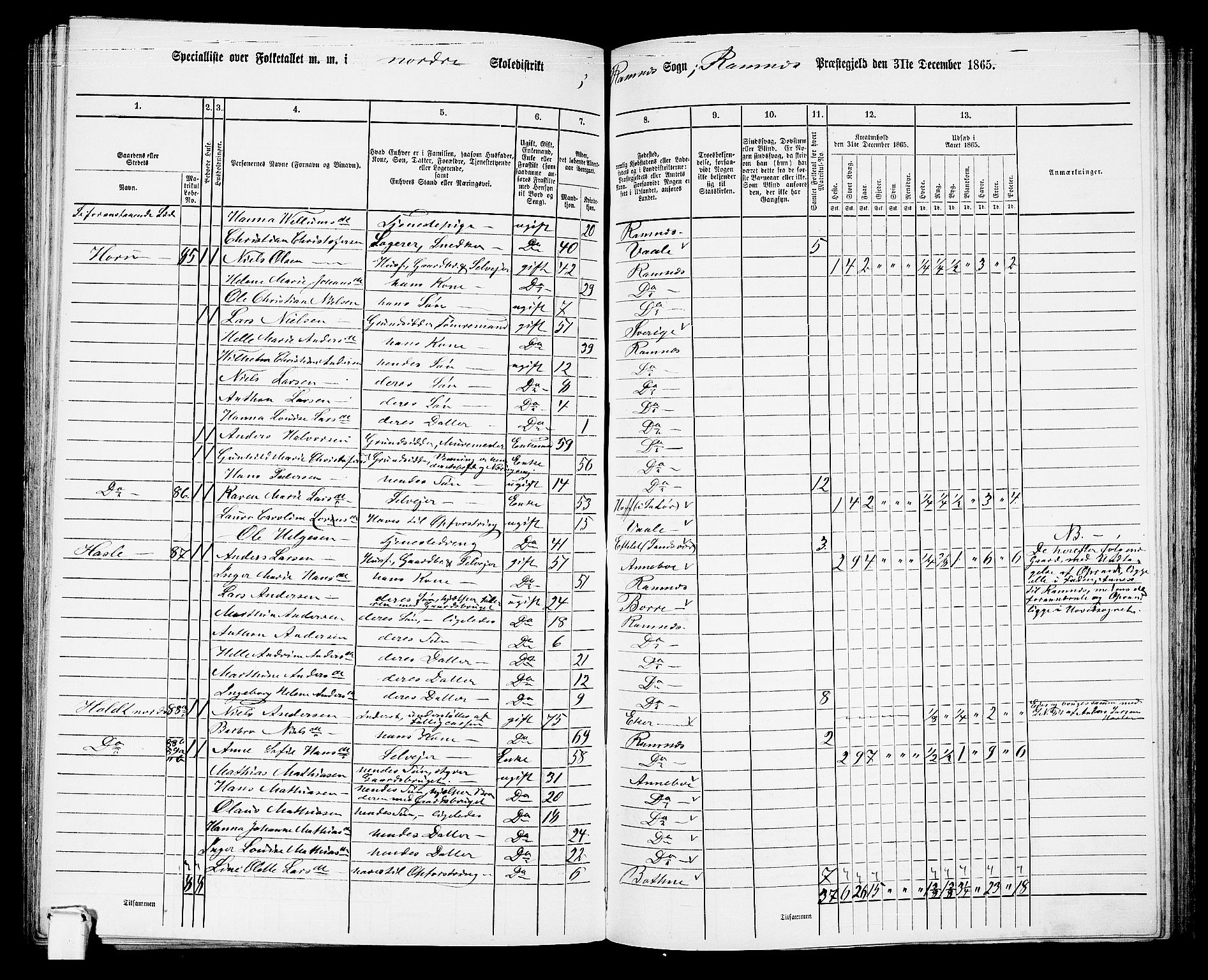 RA, Folketelling 1865 for 0718P Ramnes prestegjeld, 1865, s. 64