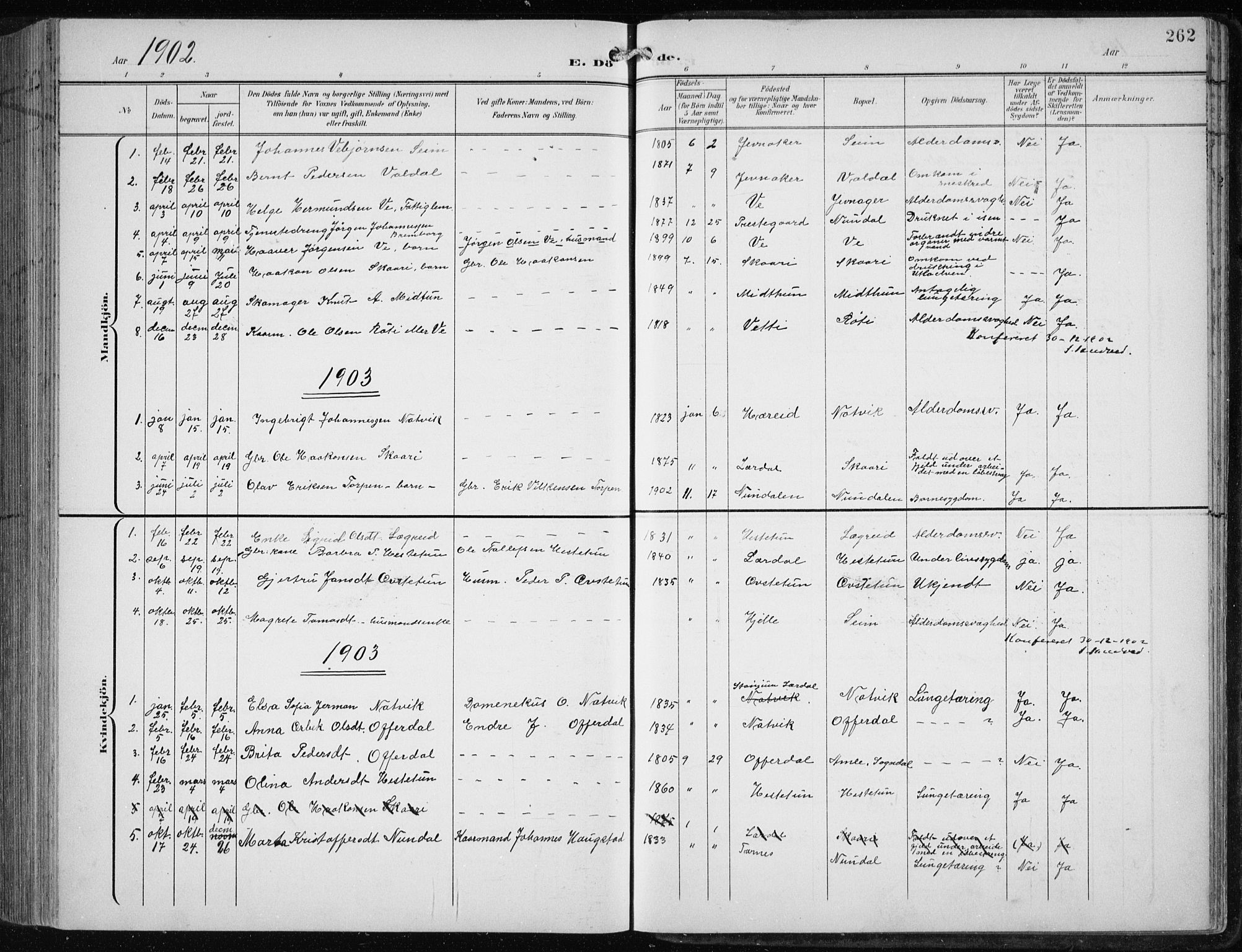 Årdal sokneprestembete, AV/SAB-A-81701: Klokkerbok nr. A 2, 1899-1939, s. 262