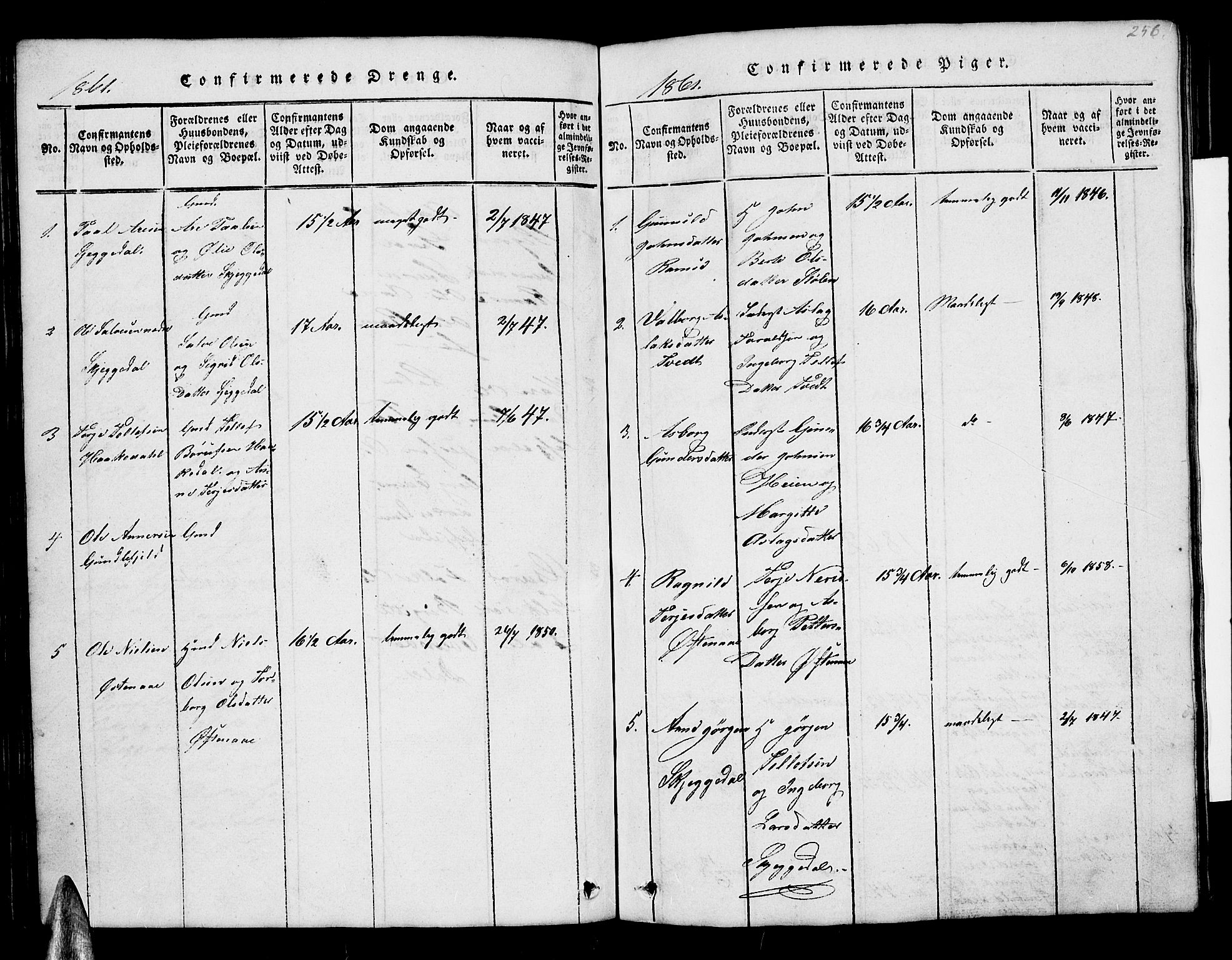 Åmli sokneprestkontor, SAK/1111-0050/F/Fb/Fbb/L0001: Klokkerbok nr. B 1, 1816-1889, s. 256