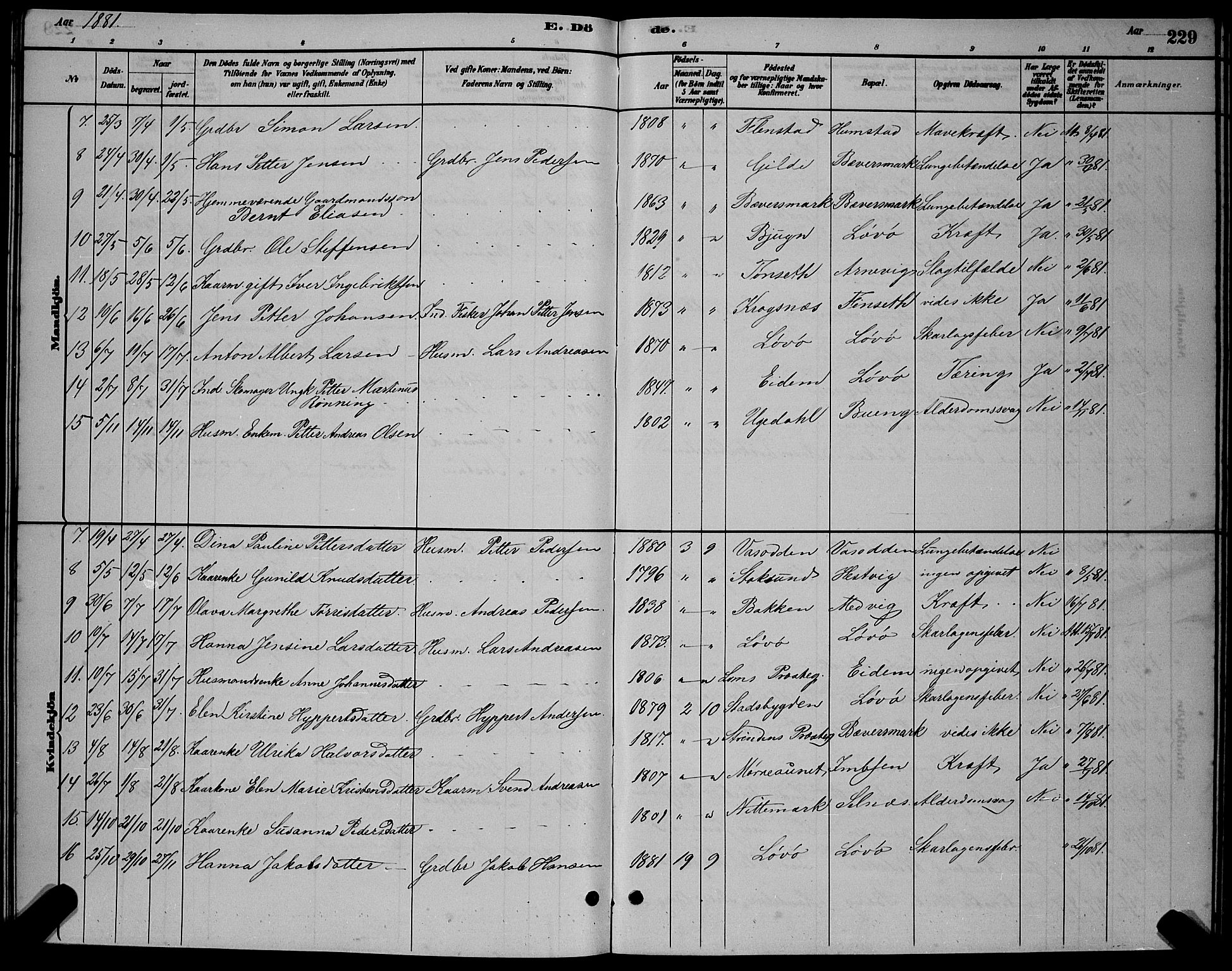 Ministerialprotokoller, klokkerbøker og fødselsregistre - Sør-Trøndelag, SAT/A-1456/655/L0687: Klokkerbok nr. 655C03, 1880-1898, s. 229