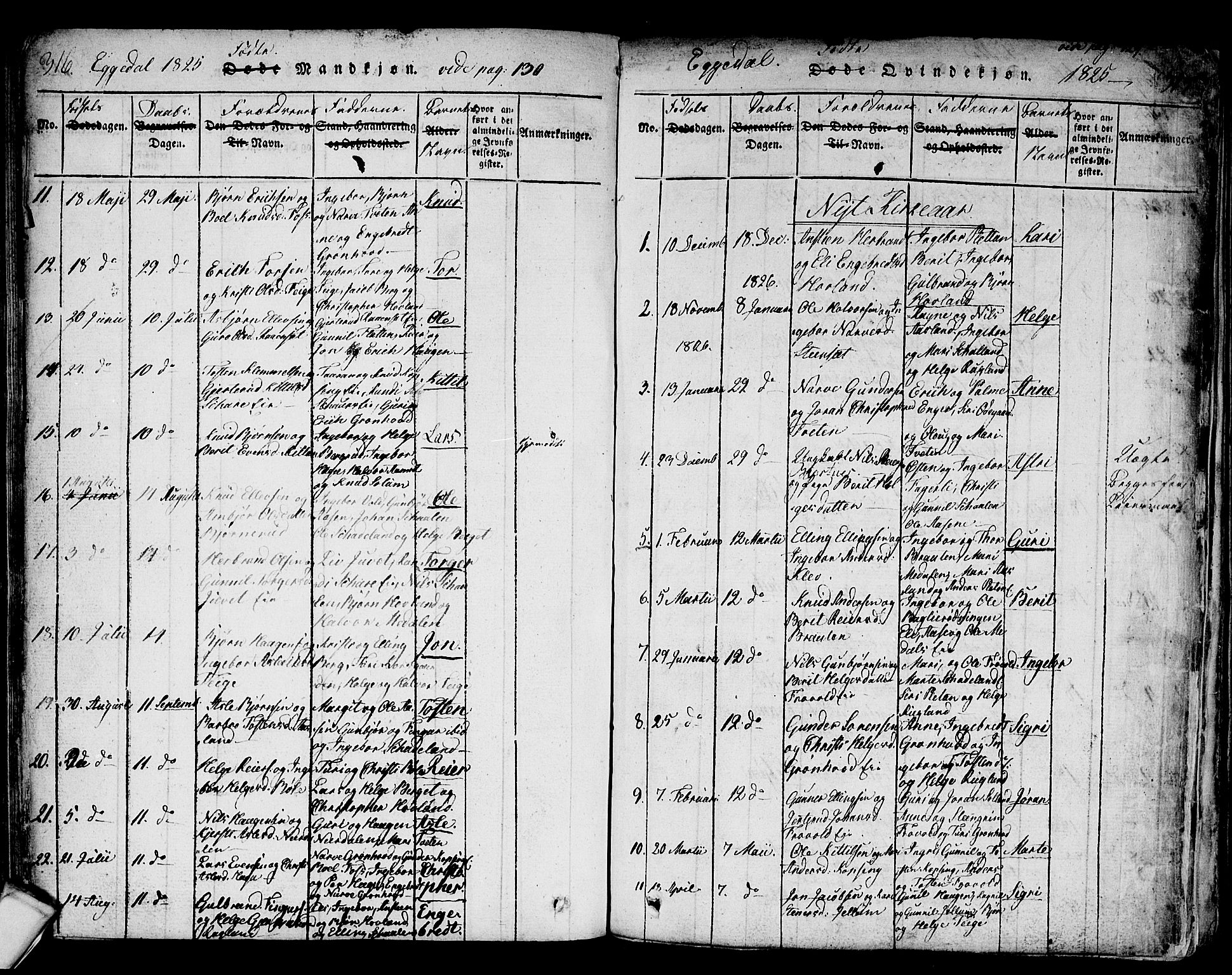 Sigdal kirkebøker, SAKO/A-245/F/Fa/L0005: Ministerialbok nr. I 5 /2, 1815-1829, s. 316-317