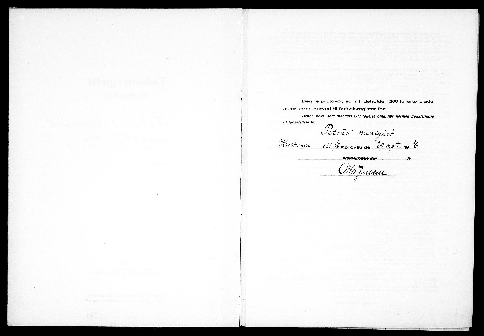 Petrus prestekontor Kirkebøker, SAO/A-10872/J/Ja/L0001: Fødselsregister nr. 1, 1916-1922