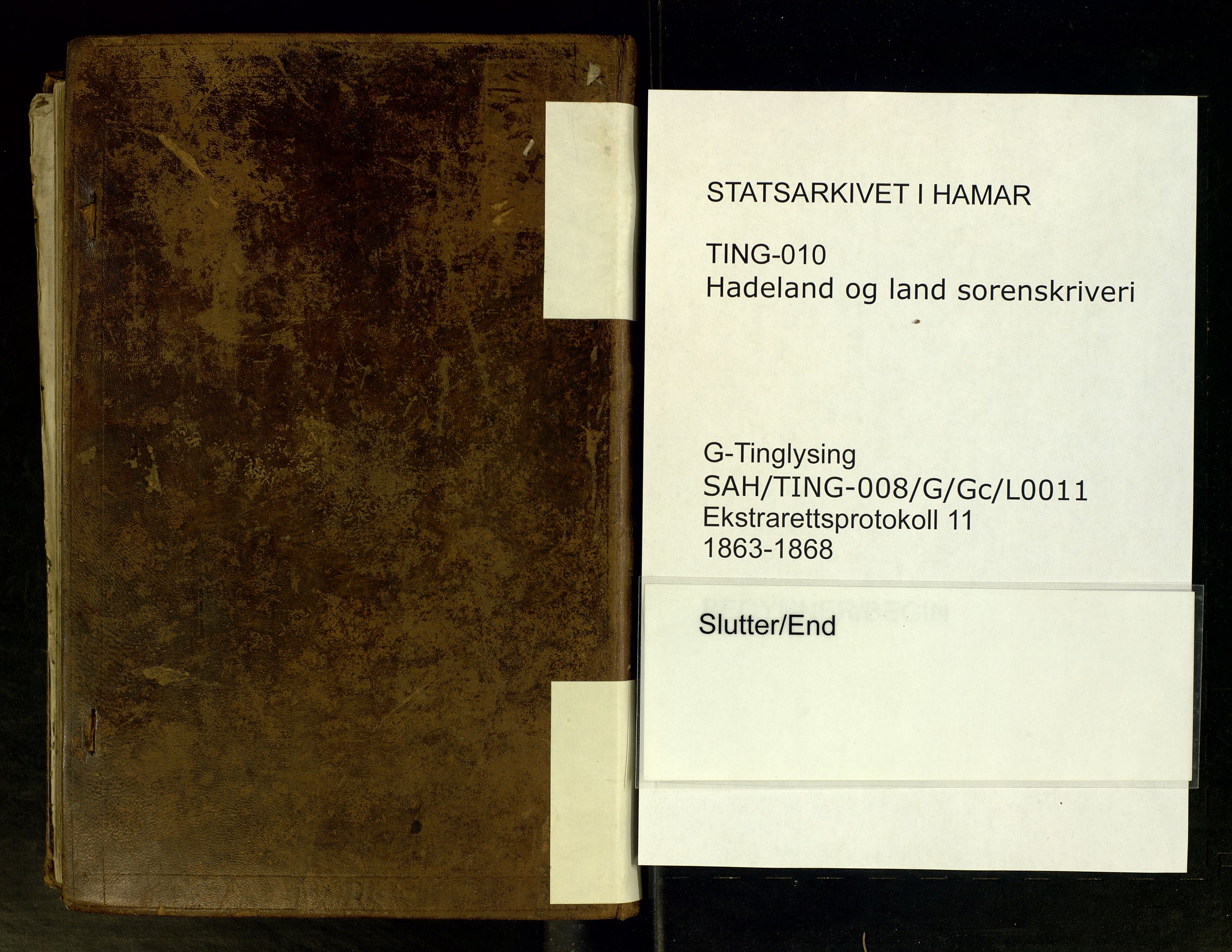 Hadeland og Land tingrett, AV/SAH-TING-010/G/Gc/L0011: Ekstrarettsprotokoll, 1863-1868