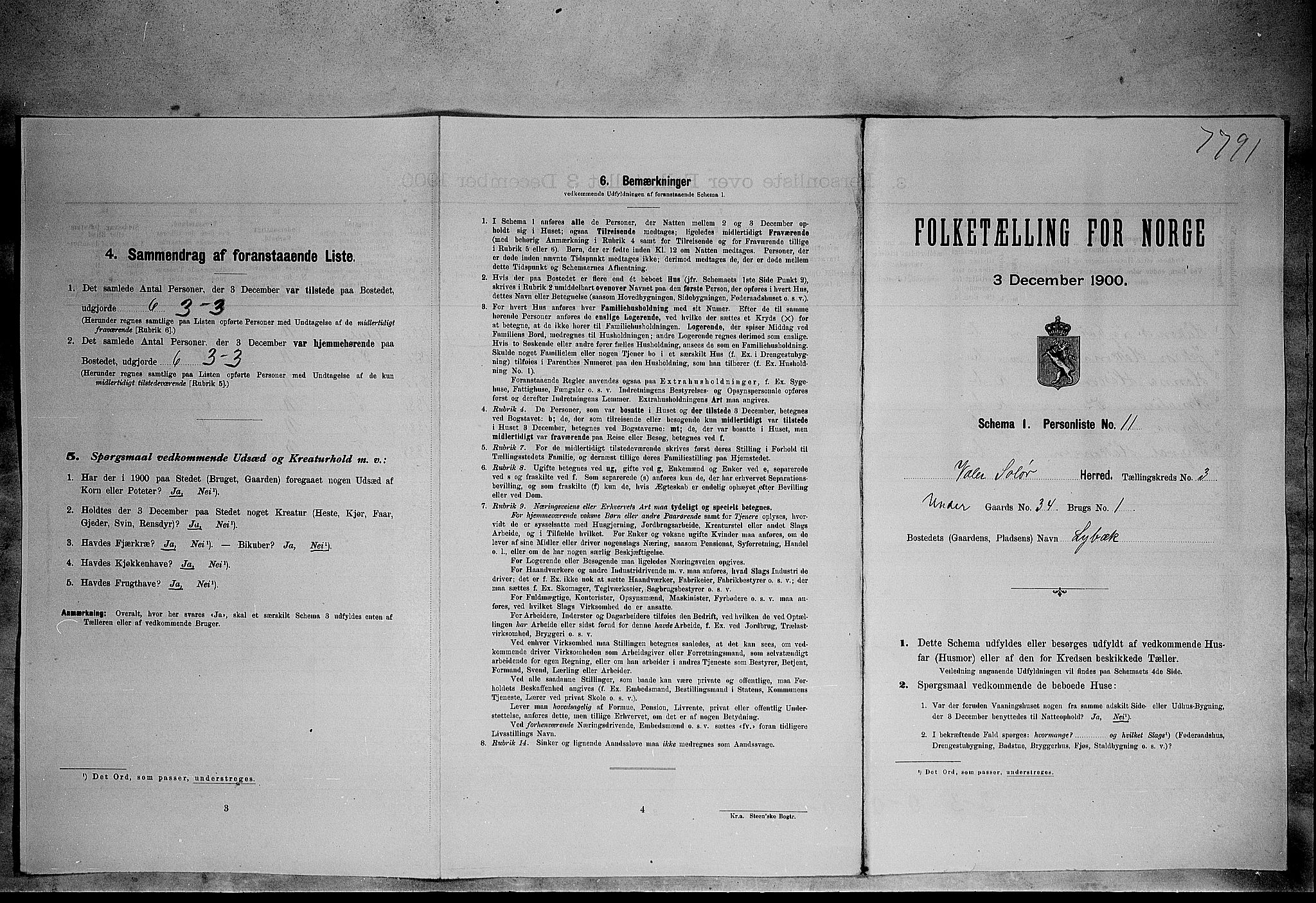 SAH, Folketelling 1900 for 0426 Våler herred, 1900, s. 378