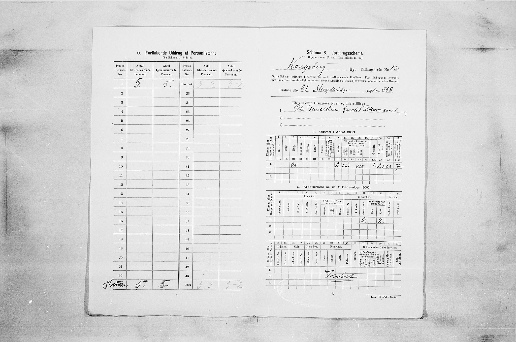 RA, Folketelling 1900 for 0604 Kongsberg kjøpstad, 1900, s. 2200
