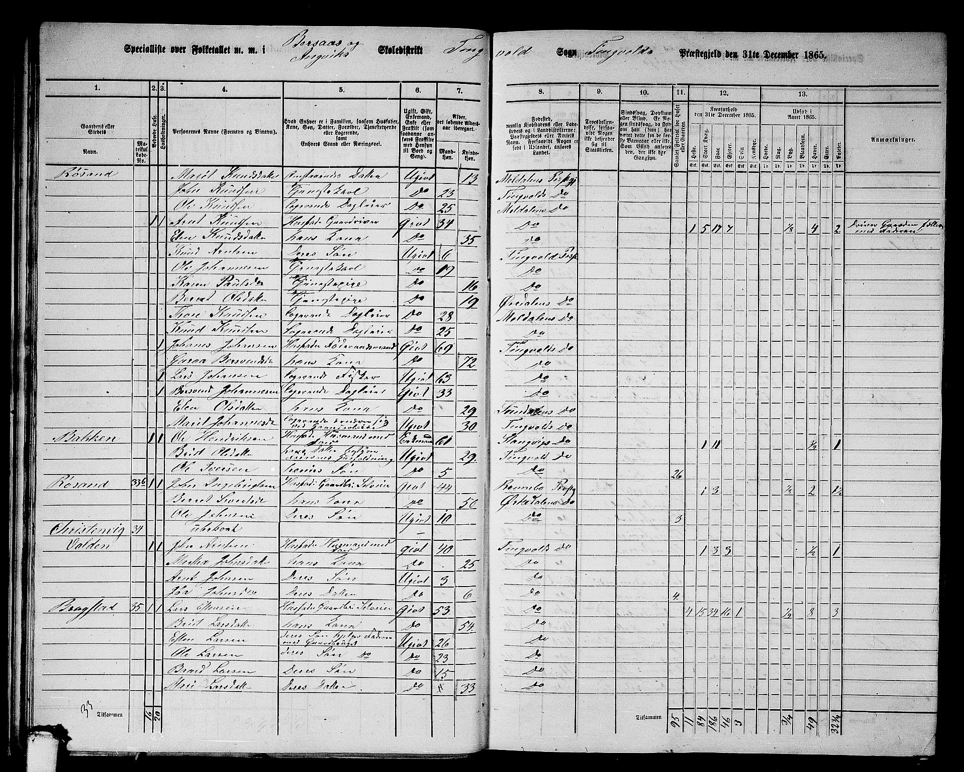 RA, Folketelling 1865 for 1560P Tingvoll prestegjeld, 1865, s. 29