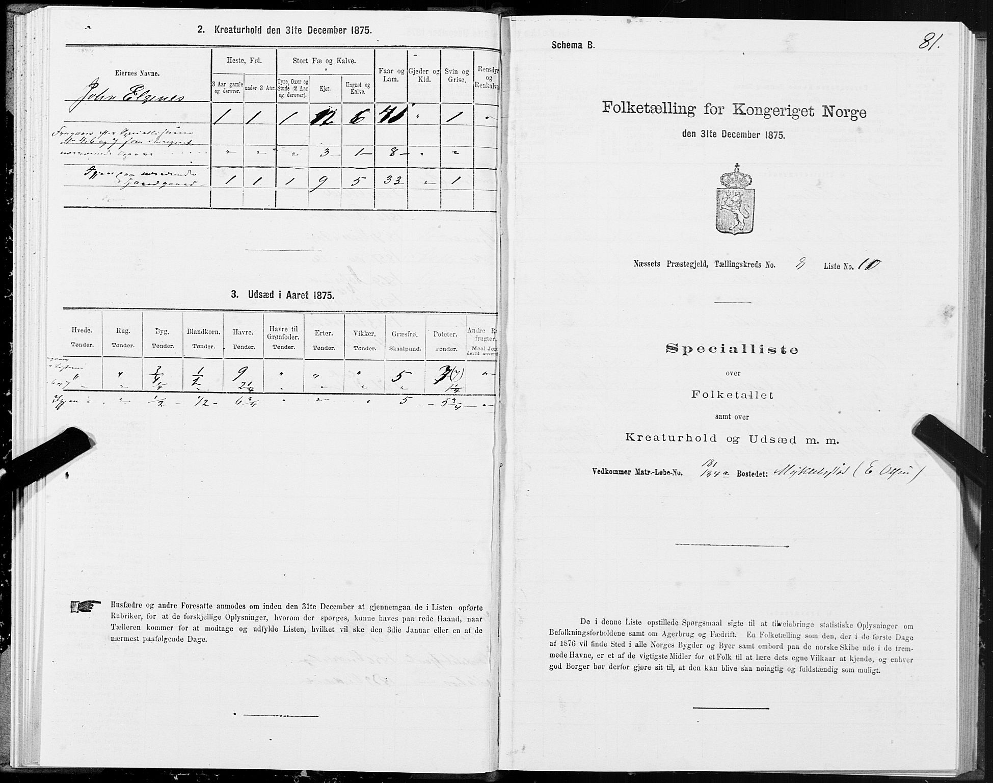 SAT, Folketelling 1875 for 1543P Nesset prestegjeld, 1875, s. 4081