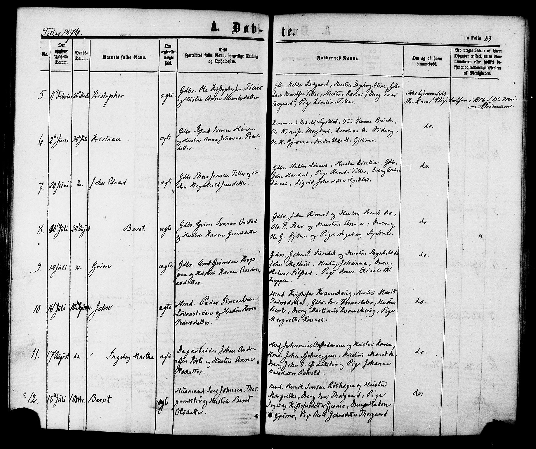 Ministerialprotokoller, klokkerbøker og fødselsregistre - Sør-Trøndelag, SAT/A-1456/618/L0443: Ministerialbok nr. 618A06 /2, 1863-1879, s. 83
