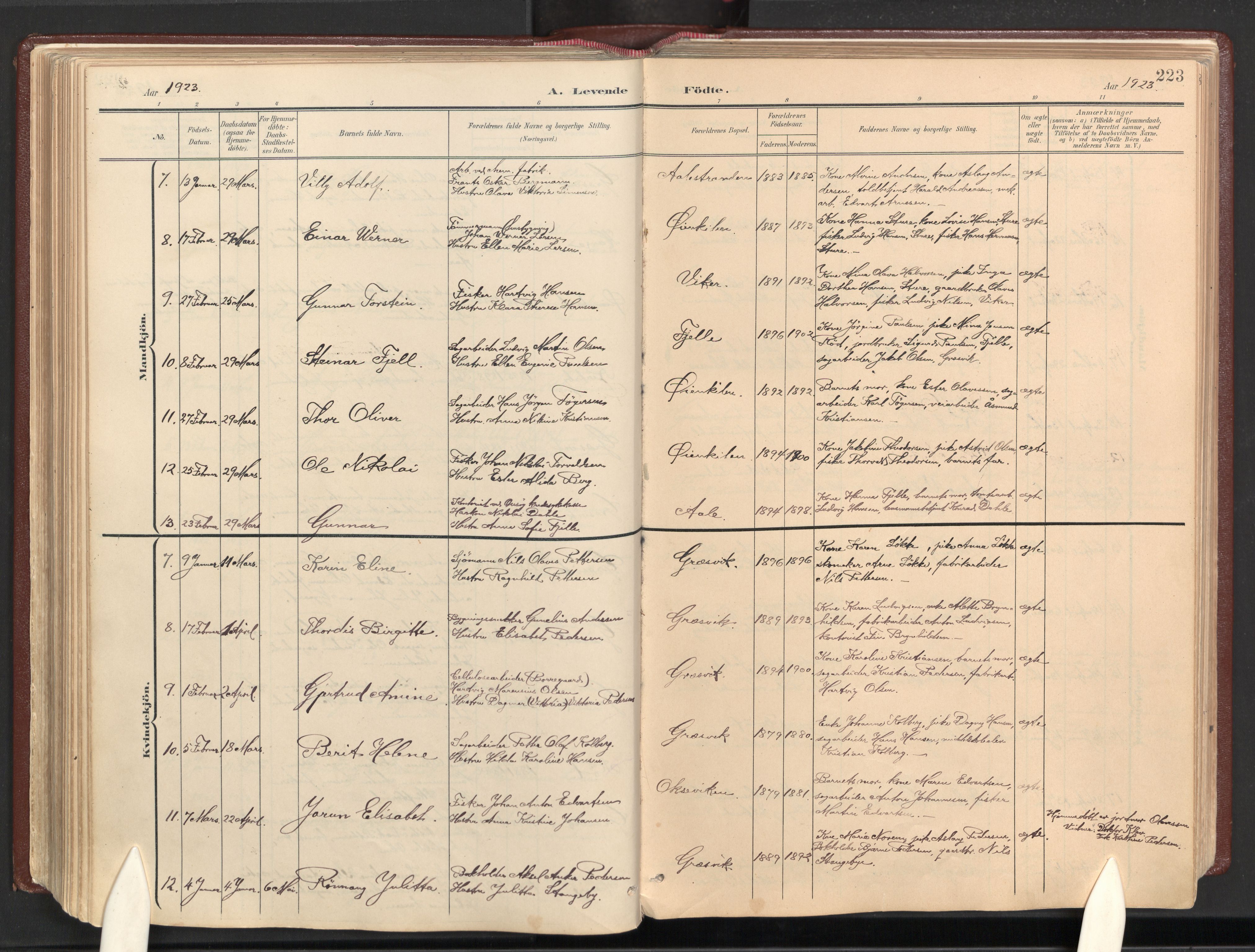 Onsøy prestekontor Kirkebøker, AV/SAO-A-10914/F/Fb/L0001: Ministerialbok nr. II 1, 1901-1937, s. 223