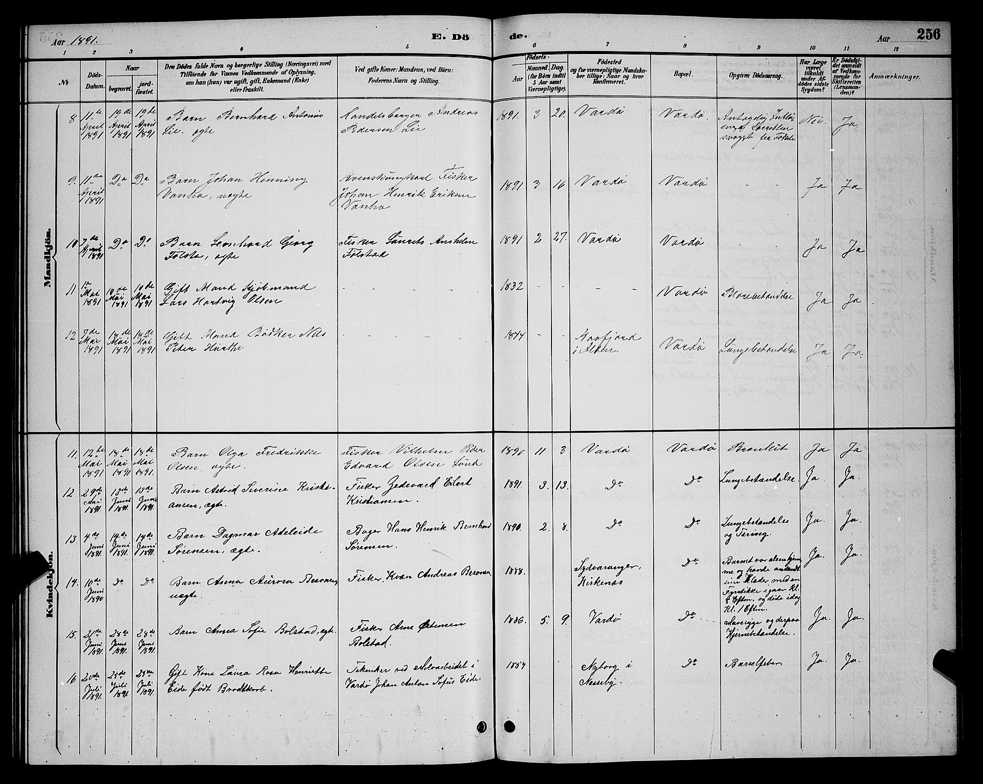 Vardø sokneprestkontor, AV/SATØ-S-1332/H/Hb/L0005klokker: Klokkerbok nr. 5, 1887-1892, s. 256