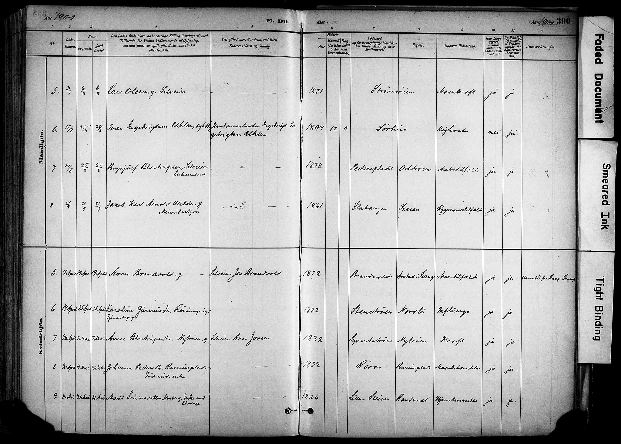 Alvdal prestekontor, AV/SAH-PREST-060/H/Ha/Haa/L0002: Ministerialbok nr. 2, 1883-1906, s. 396