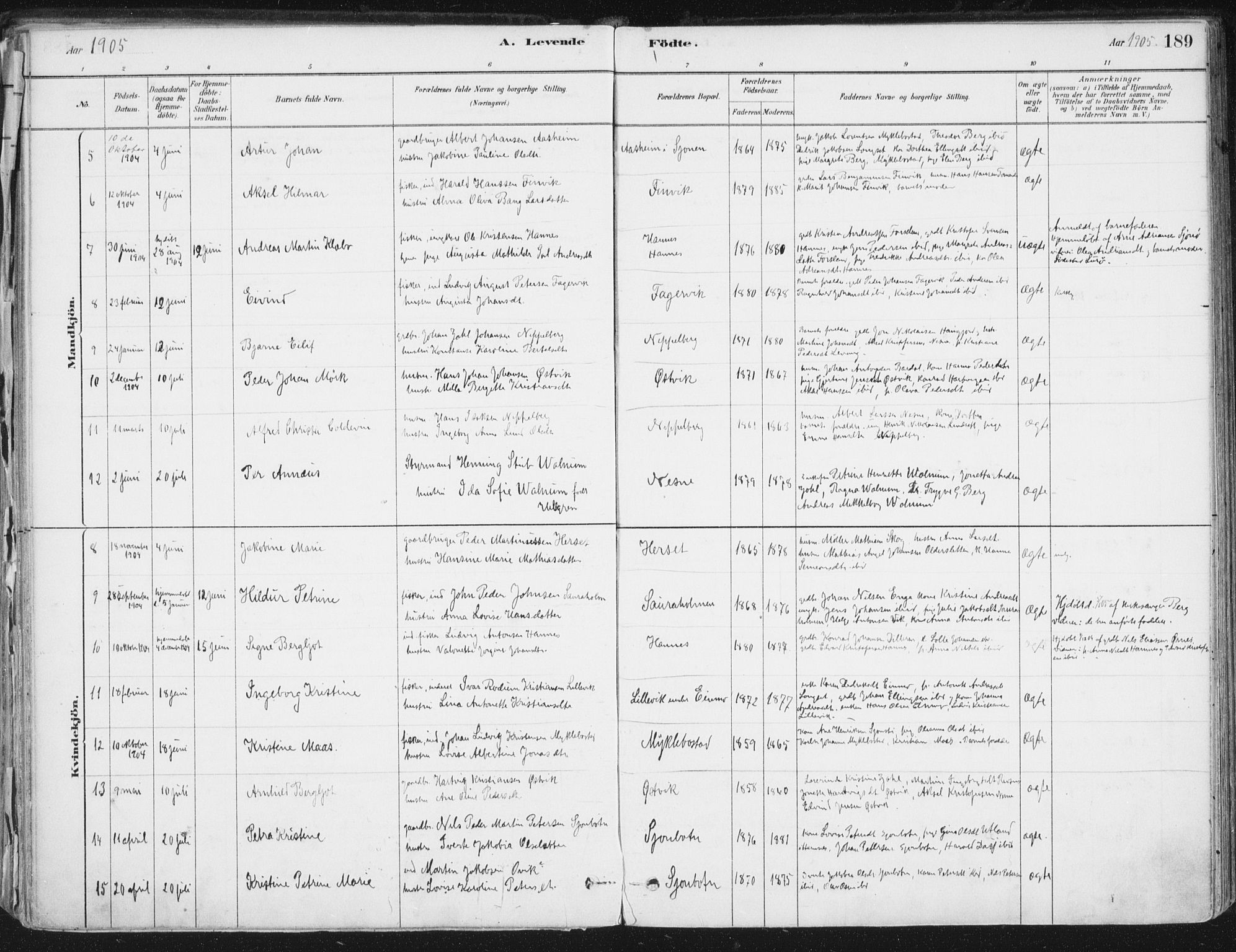 Ministerialprotokoller, klokkerbøker og fødselsregistre - Nordland, SAT/A-1459/838/L0552: Ministerialbok nr. 838A10, 1880-1910, s. 189