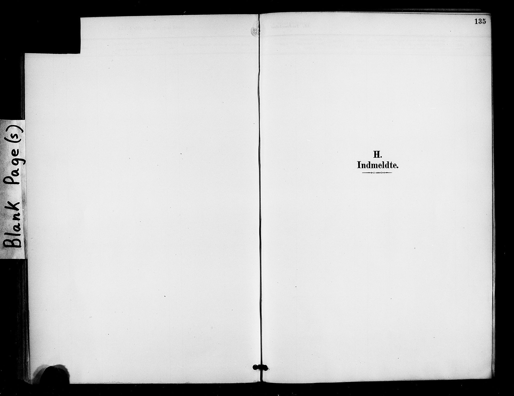 Ministerialprotokoller, klokkerbøker og fødselsregistre - Møre og Romsdal, AV/SAT-A-1454/571/L0836: Ministerialbok nr. 571A01, 1884-1899, s. 135