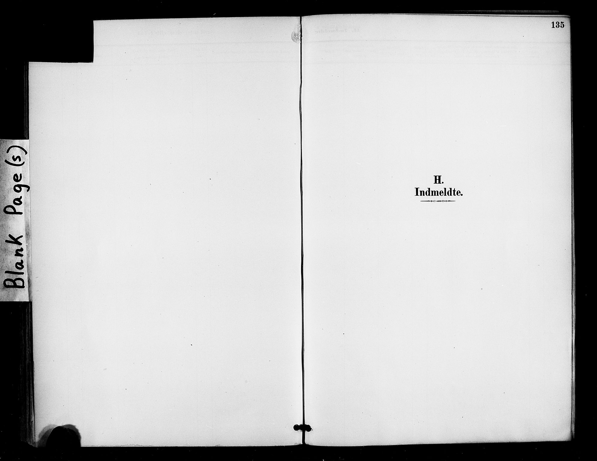 Ministerialprotokoller, klokkerbøker og fødselsregistre - Møre og Romsdal, SAT/A-1454/571/L0836: Ministerialbok nr. 571A01, 1884-1899, s. 135