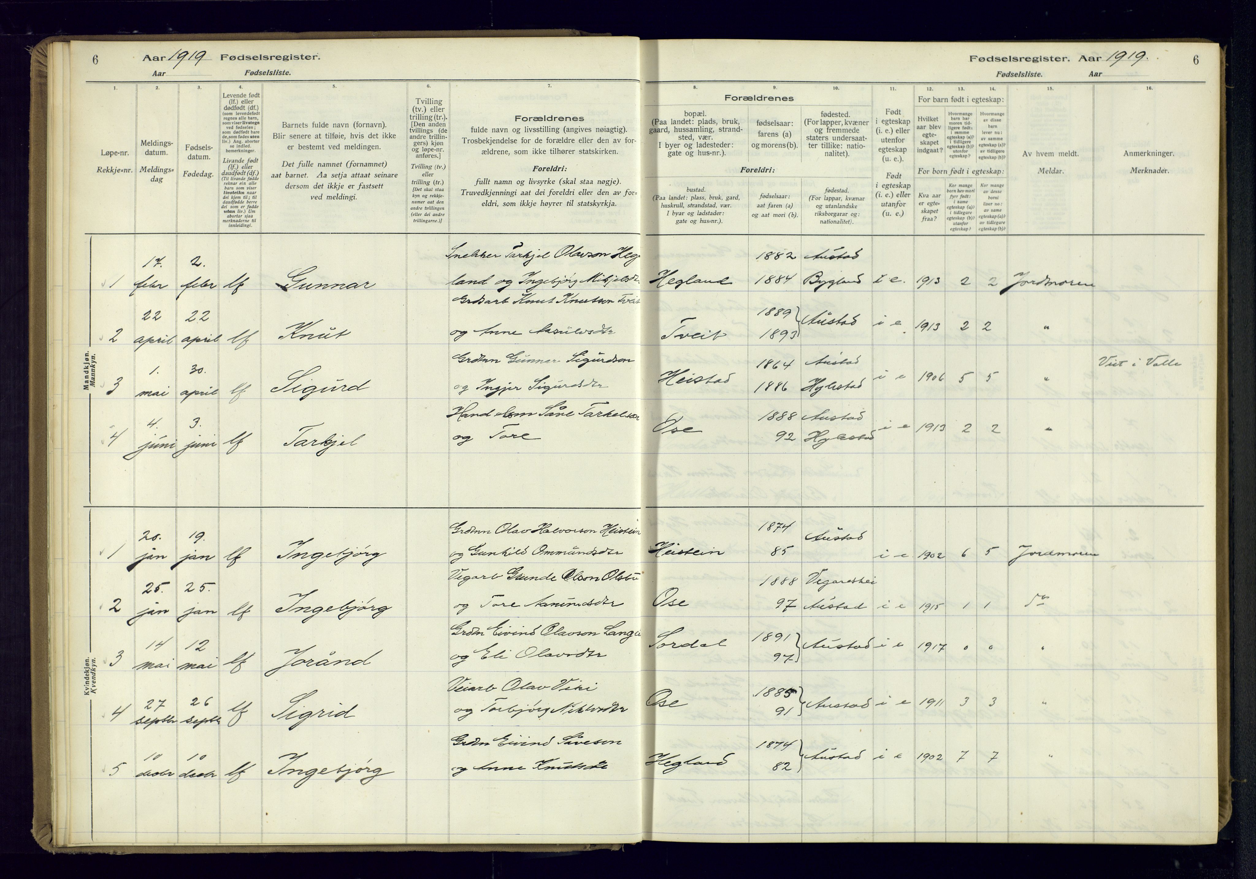 Bygland sokneprestkontor, AV/SAK-1111-0006/J/Ja/L0002: Fødselsregister nr. II.4.3, 1916-1982, s. 6