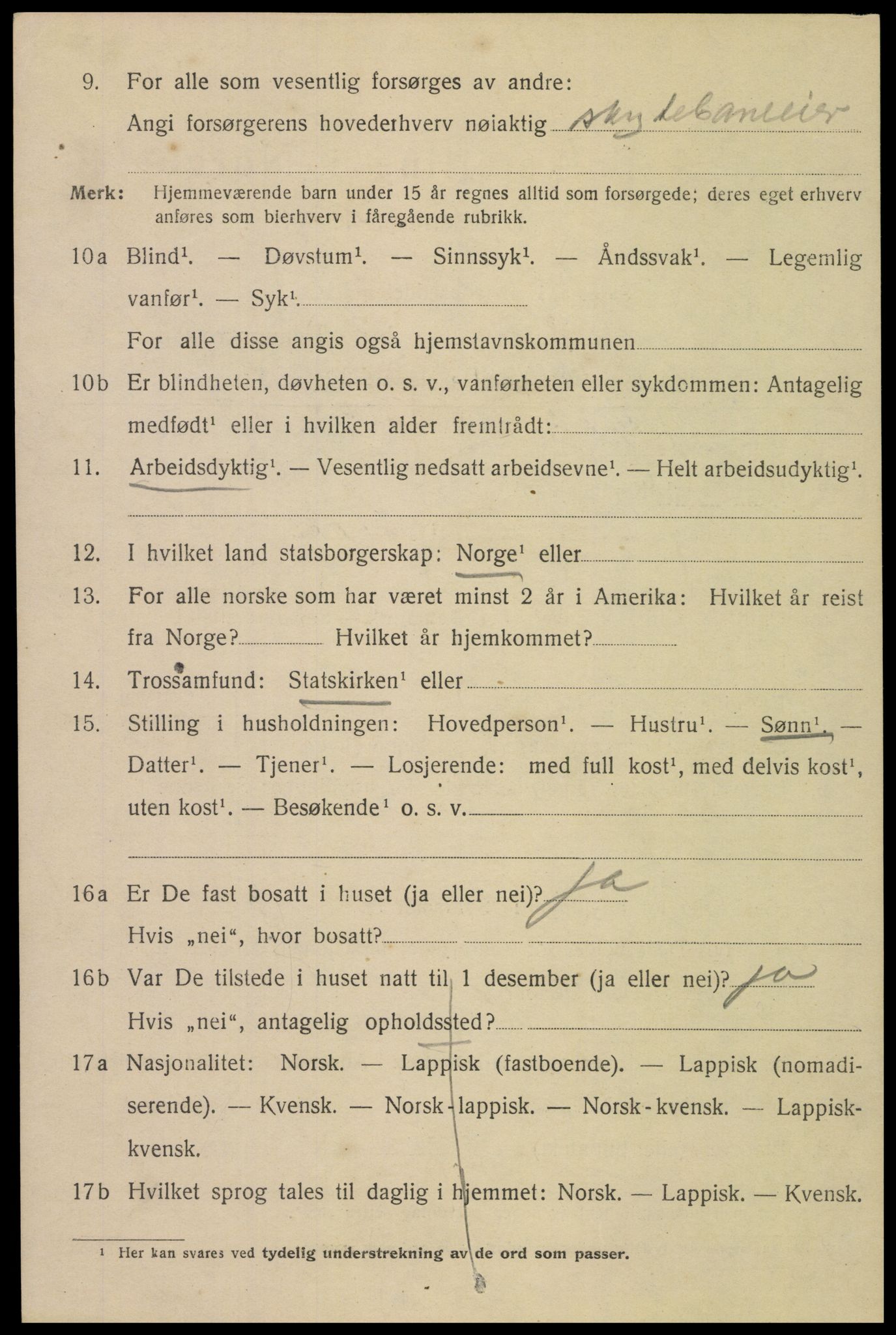 SAT, Folketelling 1920 for 1805 Narvik kjøpstad, 1920, s. 12807