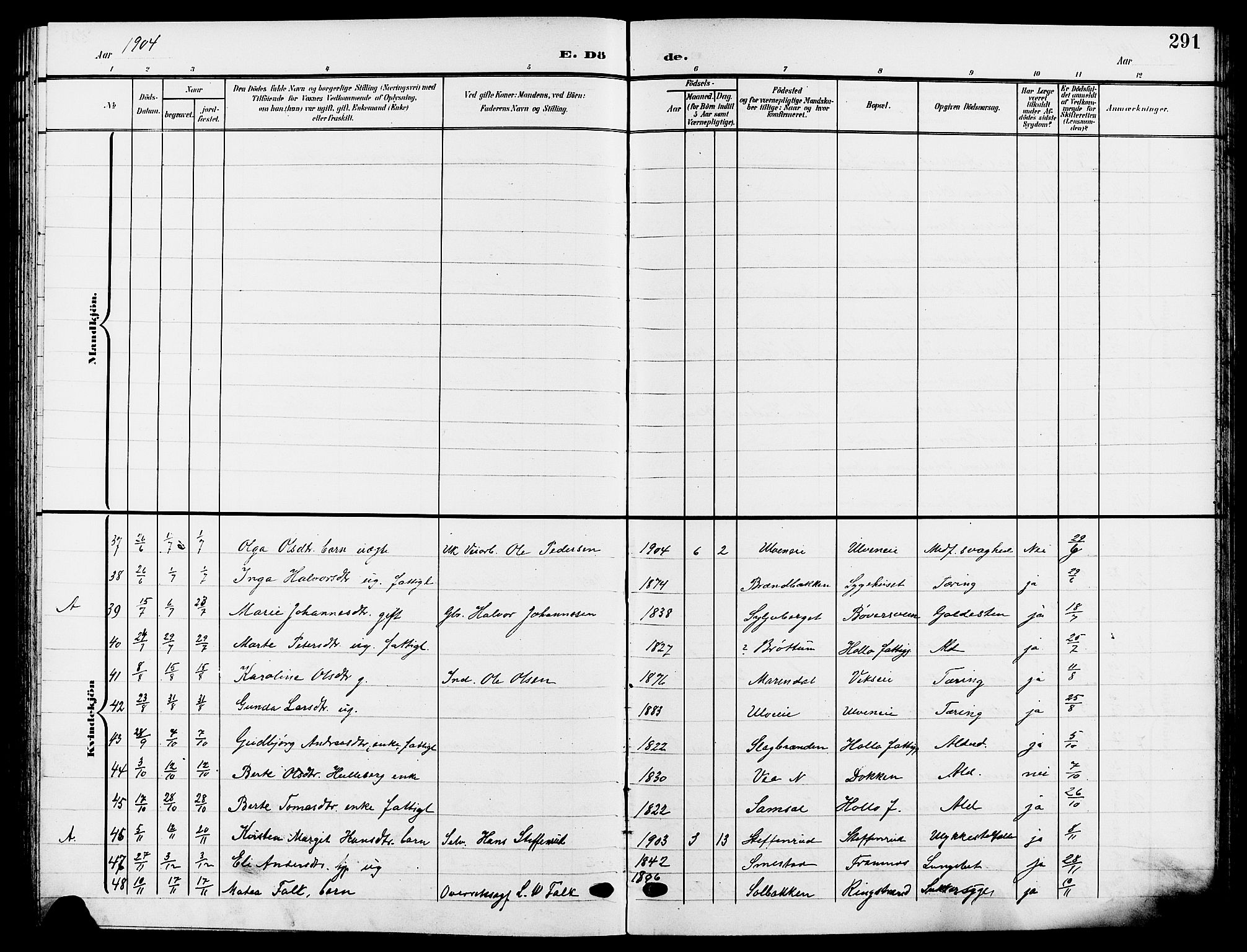 Ringsaker prestekontor, AV/SAH-PREST-014/L/La/L0015: Klokkerbok nr. 15, 1903-1912, s. 291