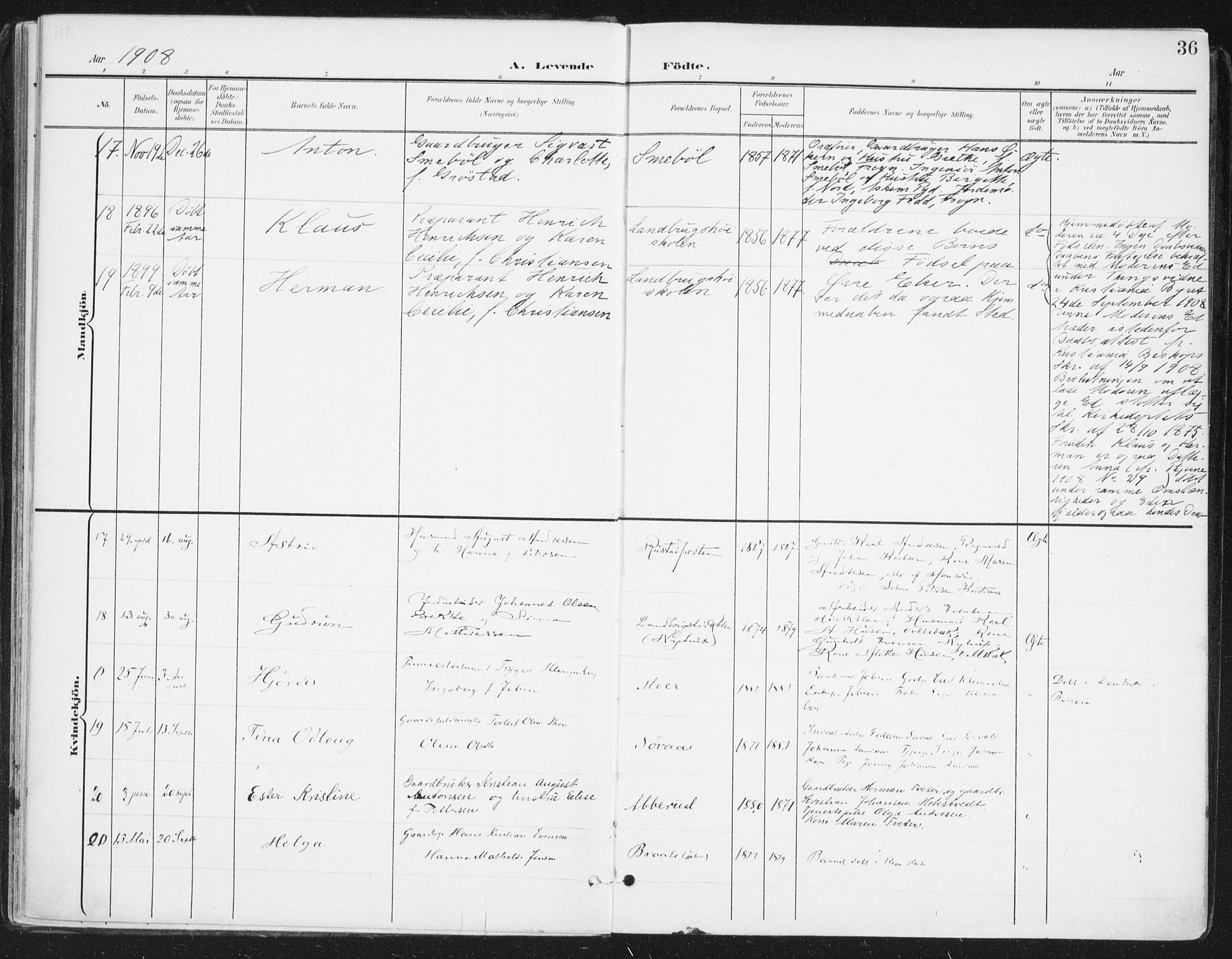 Ås prestekontor Kirkebøker, AV/SAO-A-10894/F/Fa/L0010: Ministerialbok nr. I 10, 1900-1918, s. 36