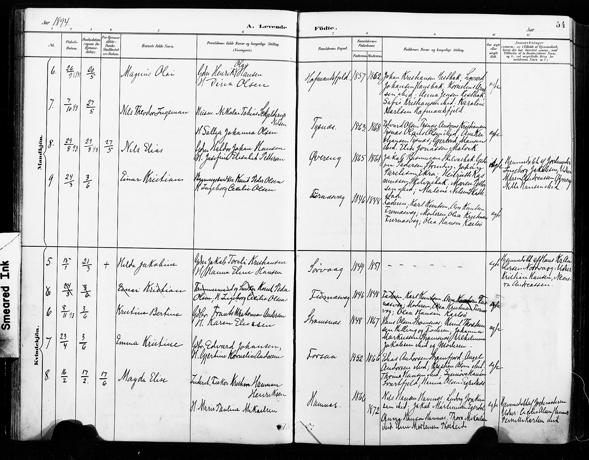 Ministerialprotokoller, klokkerbøker og fødselsregistre - Nordland, AV/SAT-A-1459/859/L0847: Ministerialbok nr. 859A07, 1890-1899, s. 54