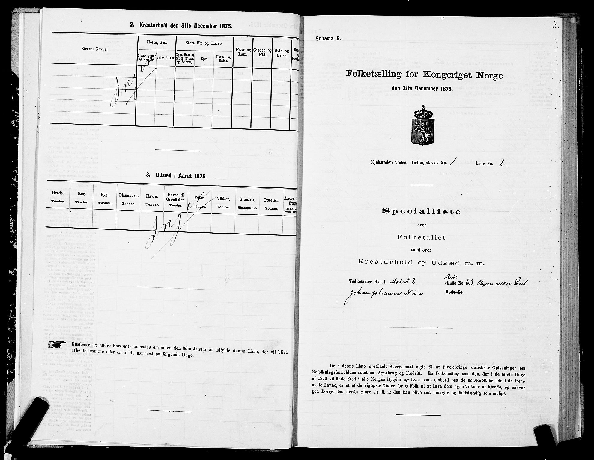 SATØ, Folketelling 1875 for 2003B Vadsø prestegjeld, Vadsø kjøpstad, 1875, s. 1003