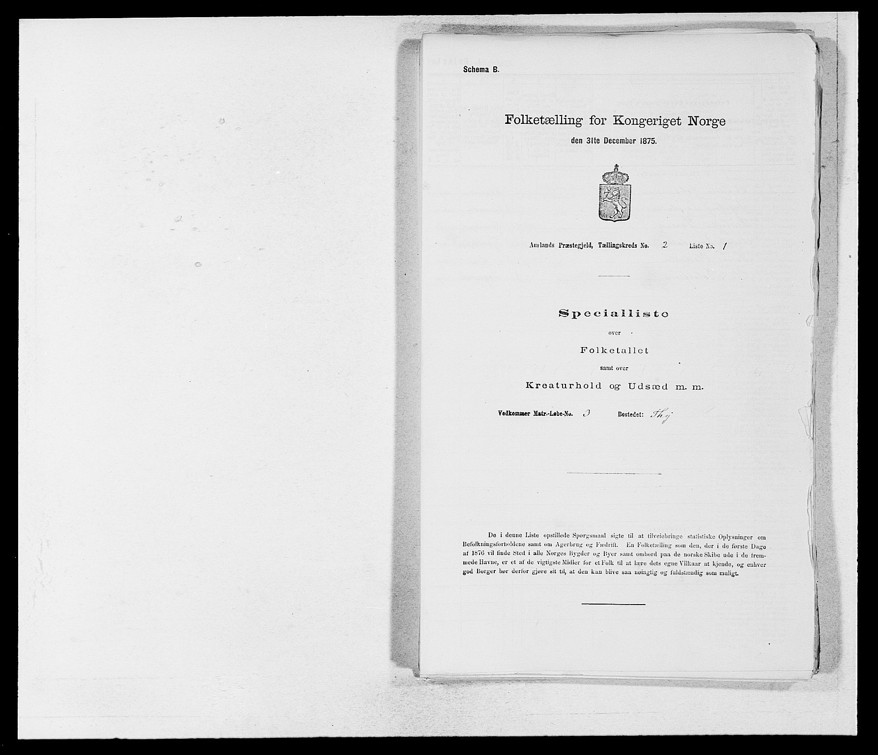 SAB, Folketelling 1875 for 1421P Aurland prestegjeld, 1875, s. 117