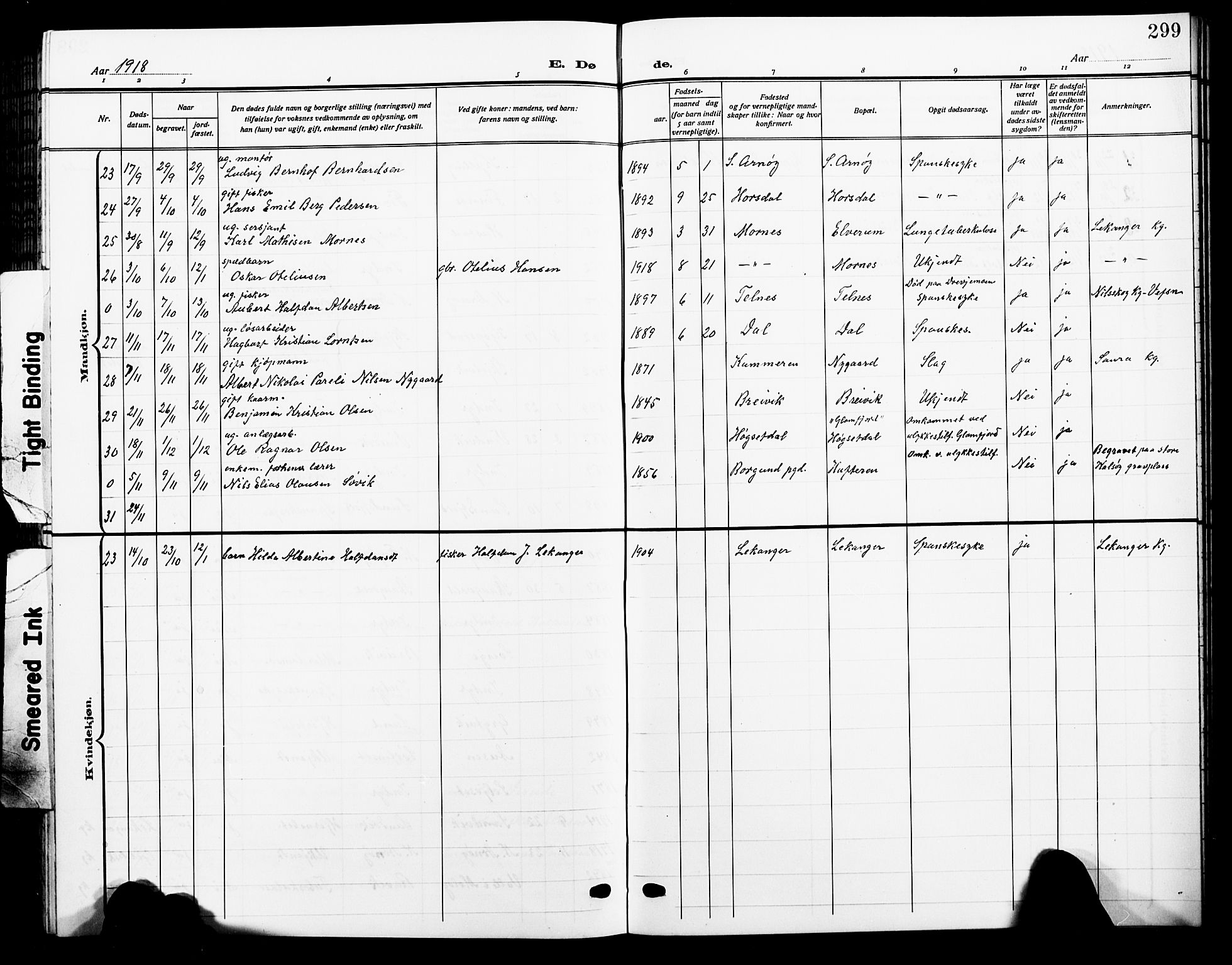 Ministerialprotokoller, klokkerbøker og fødselsregistre - Nordland, AV/SAT-A-1459/805/L0110: Klokkerbok nr. 805C06, 1909-1924, s. 299