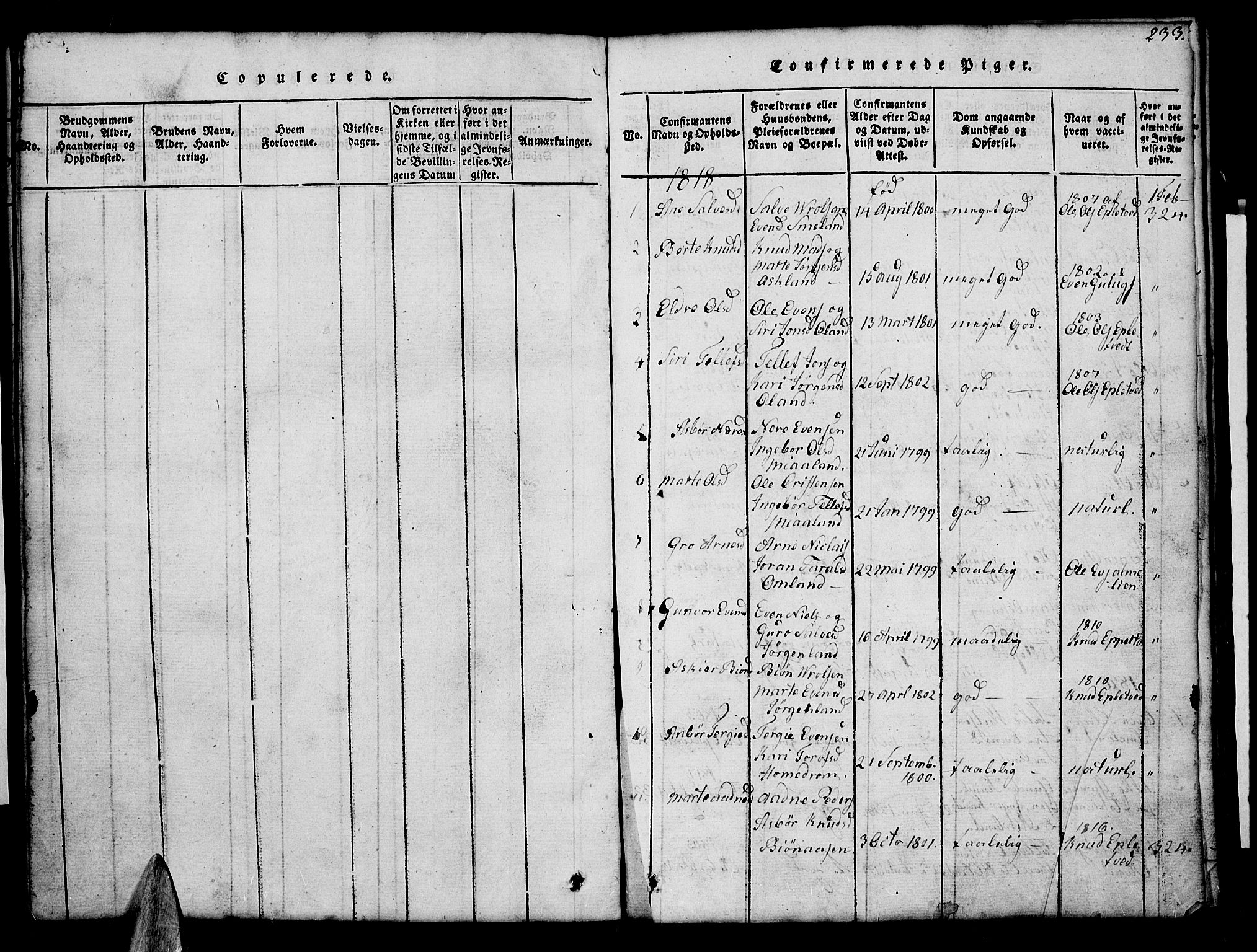 Åmli sokneprestkontor, AV/SAK-1111-0050/F/Fb/Fba/L0001: Klokkerbok nr. B 1, 1816-1890, s. 233