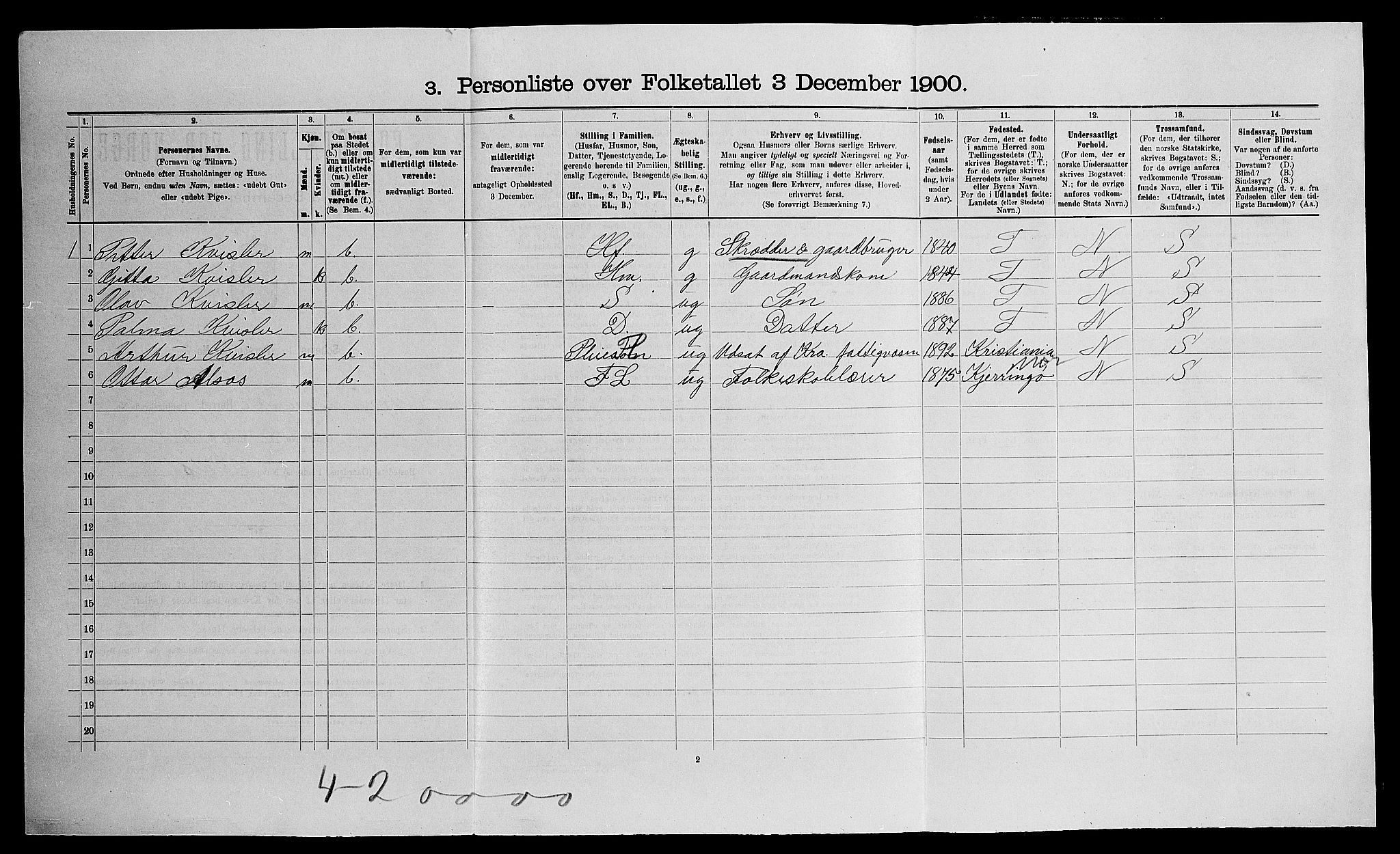 SAO, Folketelling 1900 for 0236 Nes herred, 1900